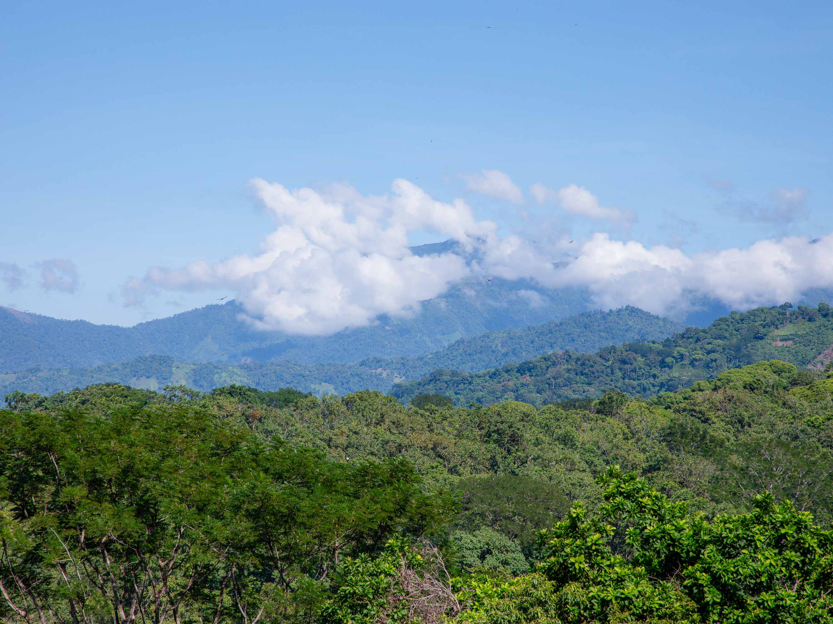 113-Hectare Ranch with River Frontage in Londres in Manuel Antonio, Costa Rica
