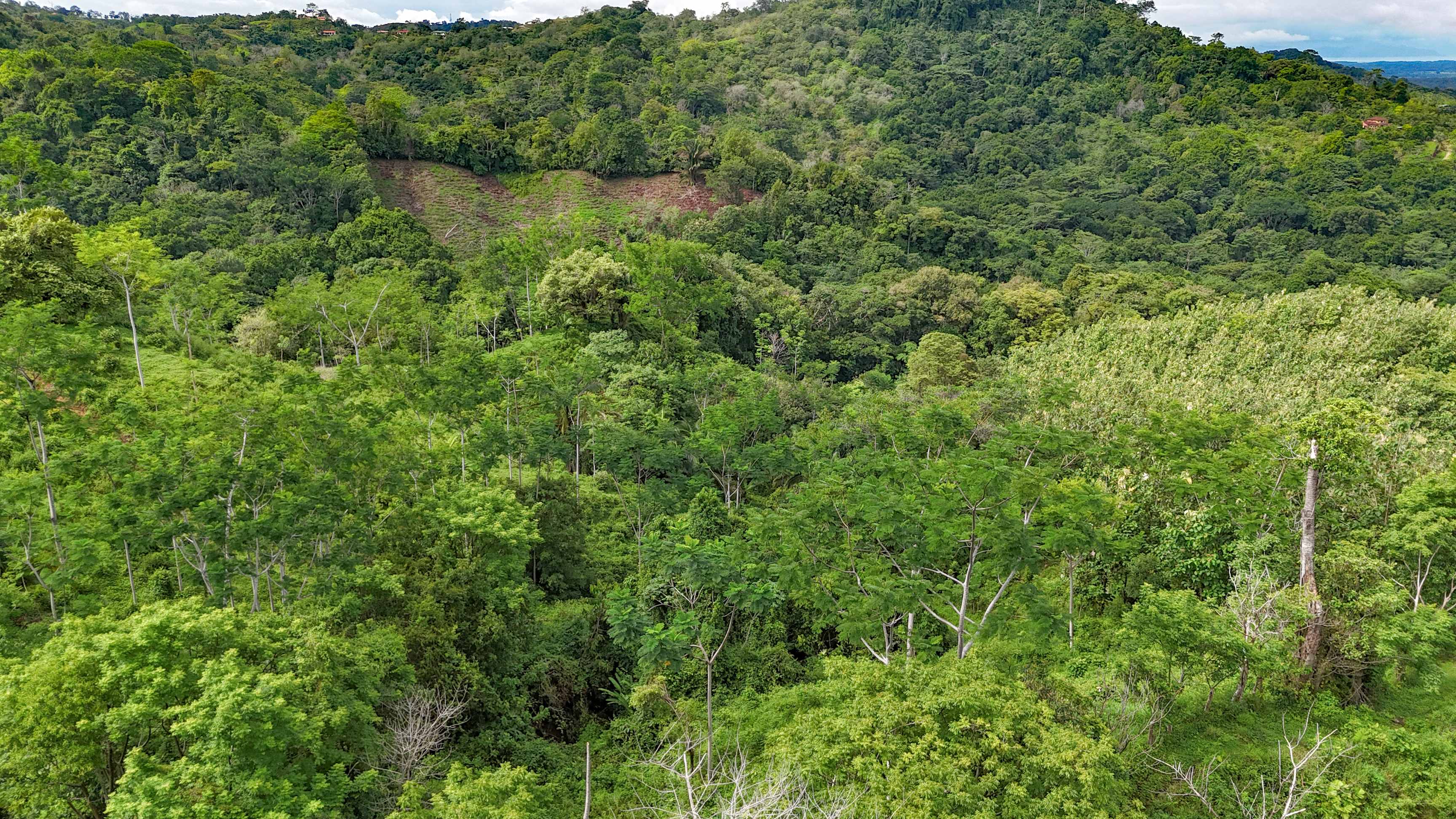 177-Acre Development Land Near Ojochal property photo 2