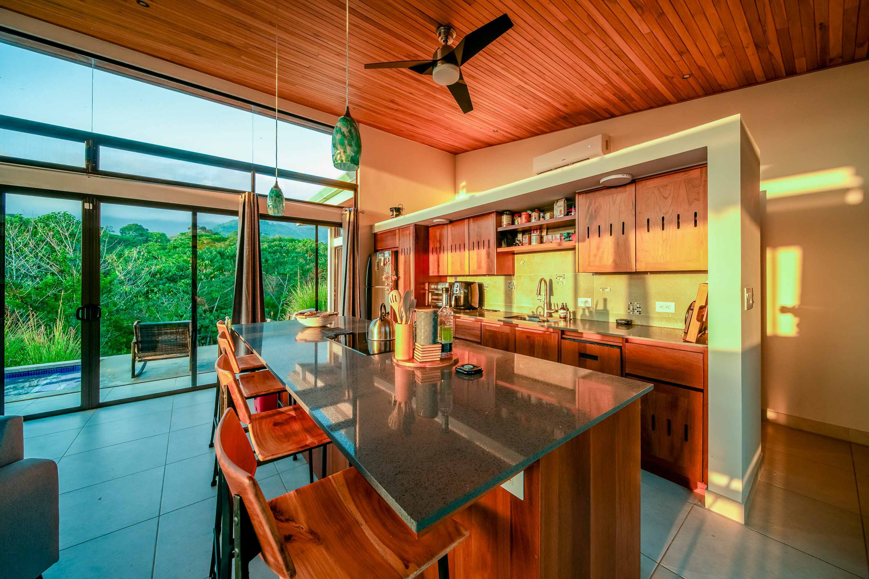 Infinity Pool Estate + Guest House in Ojochal property photo 12