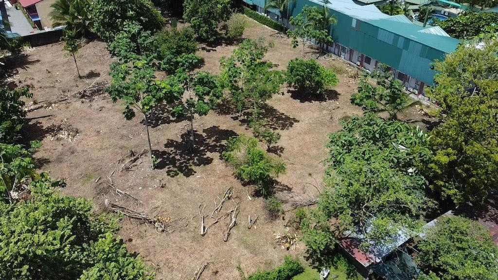 Commercial Lot Near Marino Ballena National Park, Uvita property photo 3