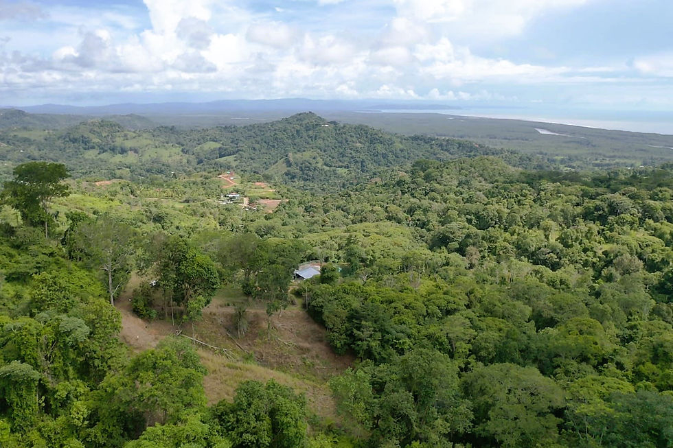 Thumbnail: 5-Acre Ocean View Lot in Tres Rios | Private Waterfall