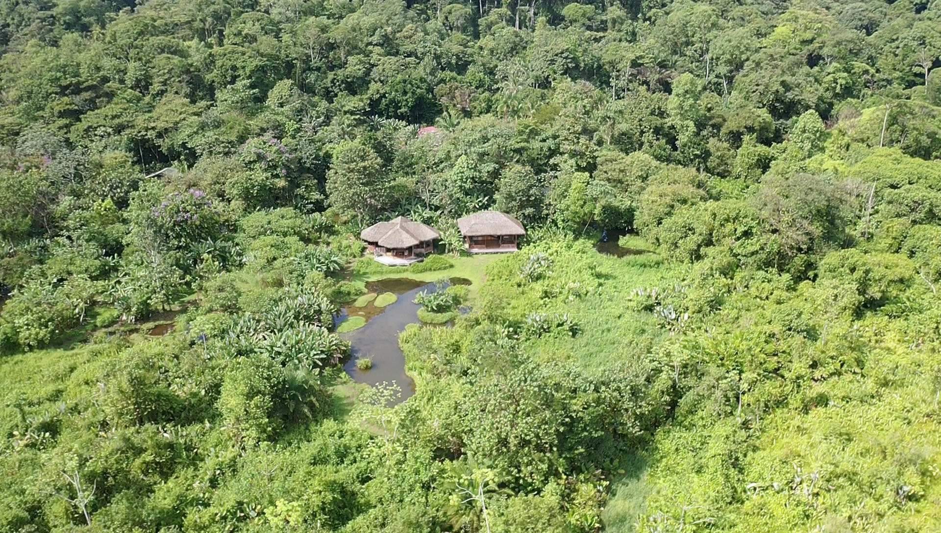 60-Acre Eco Estate (The Refugio) in La Gamba property photo 3