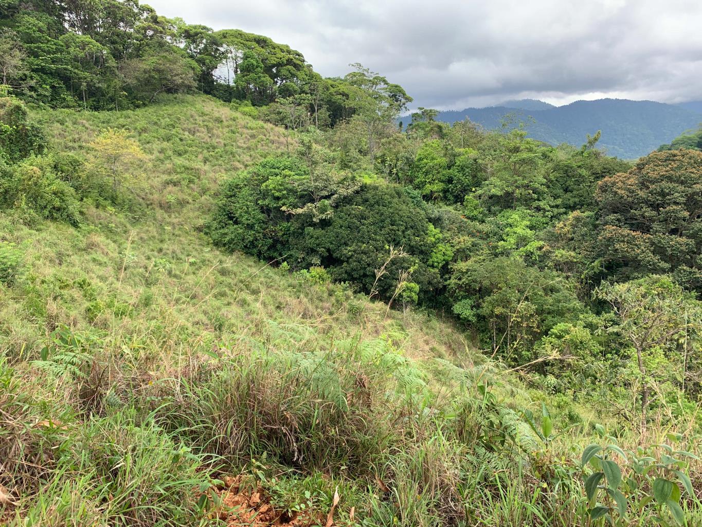 286-Acre Development Land Near Quepos property photo 2