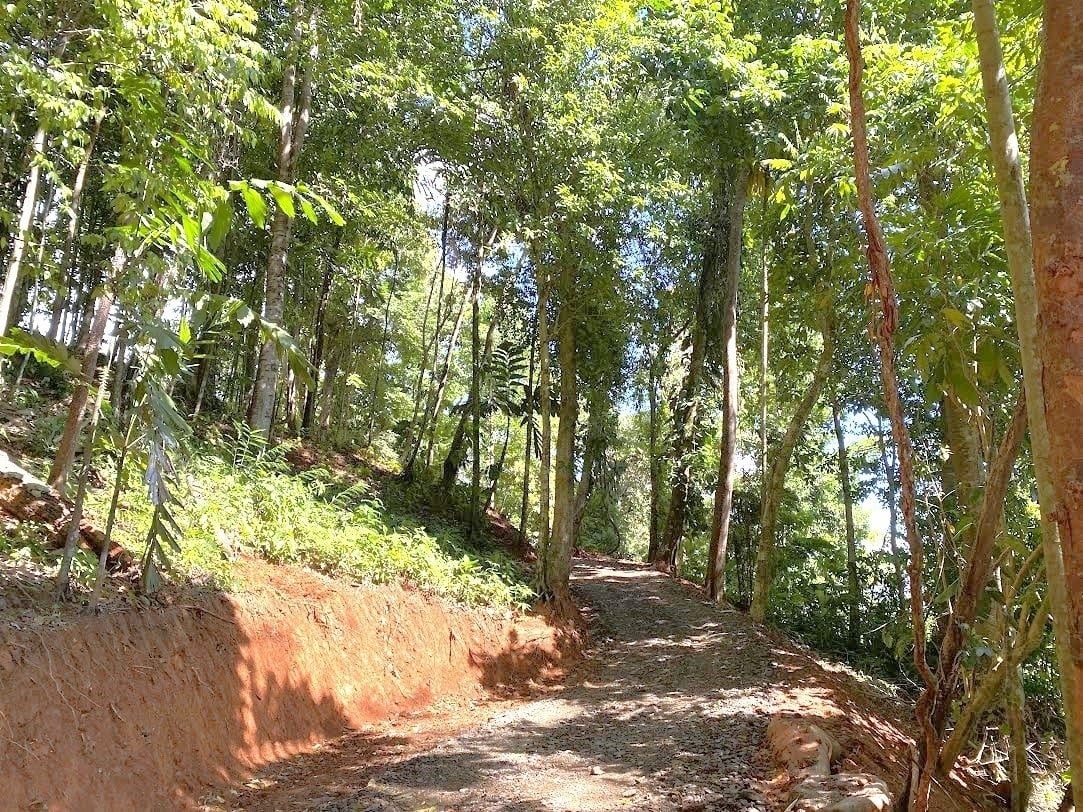 5.77-Acre Development Land in Cinco Ventanas, Ojochal property photo 3