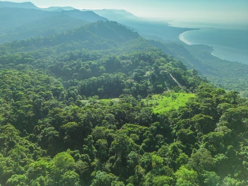 55-Acre Private Farm in Escaleras, Above Dominical property photo 4