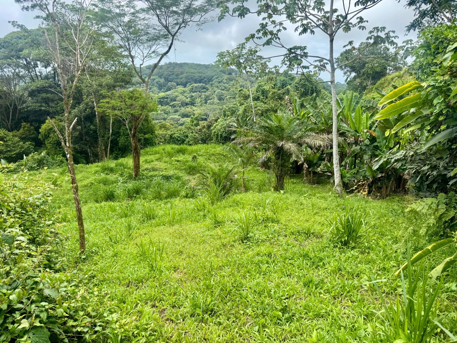 3-Acre Mountain View Land in Lagunas, Near Dominical property photo 4