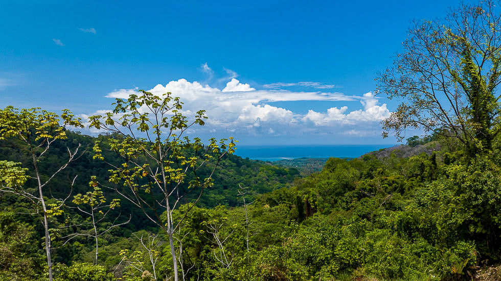 Thumbnail: 101-Acre Waterfall Land in Uvita | Whale Tail Views