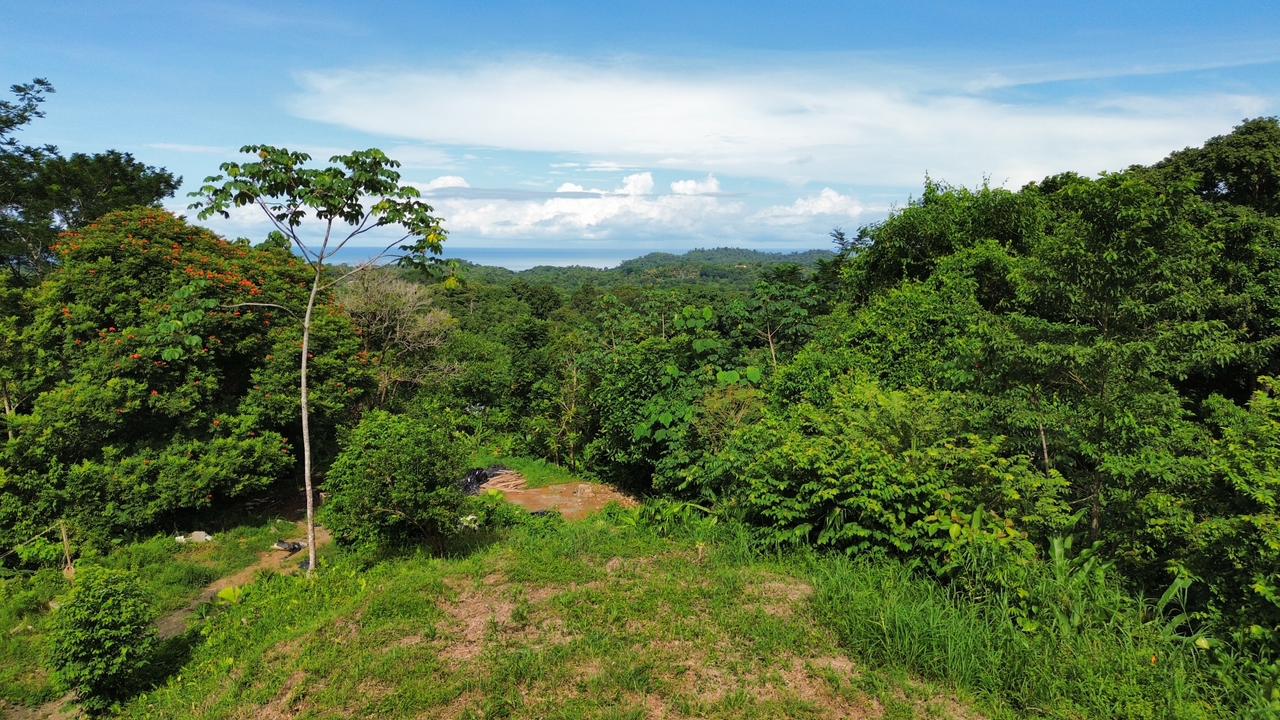 1.74-Acre Ocean View Lot in Ojochal property photo 5