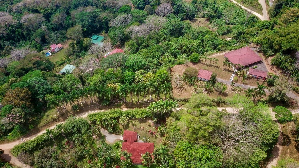 Home (Casa De La Rosa) on 3.64 Acres in Lagunas de Baru property photo 4