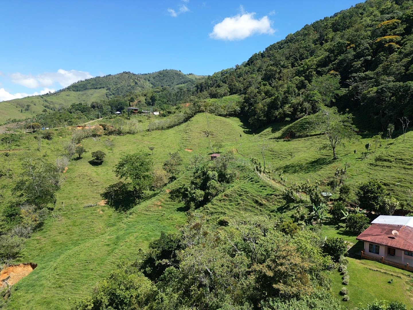 Mountain View Land Near Chirripo, Chimirol property photo 2