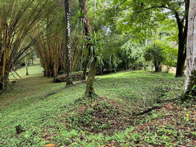 17.85-Acre Land with Two Waterfalls Near Dominical property photo 5