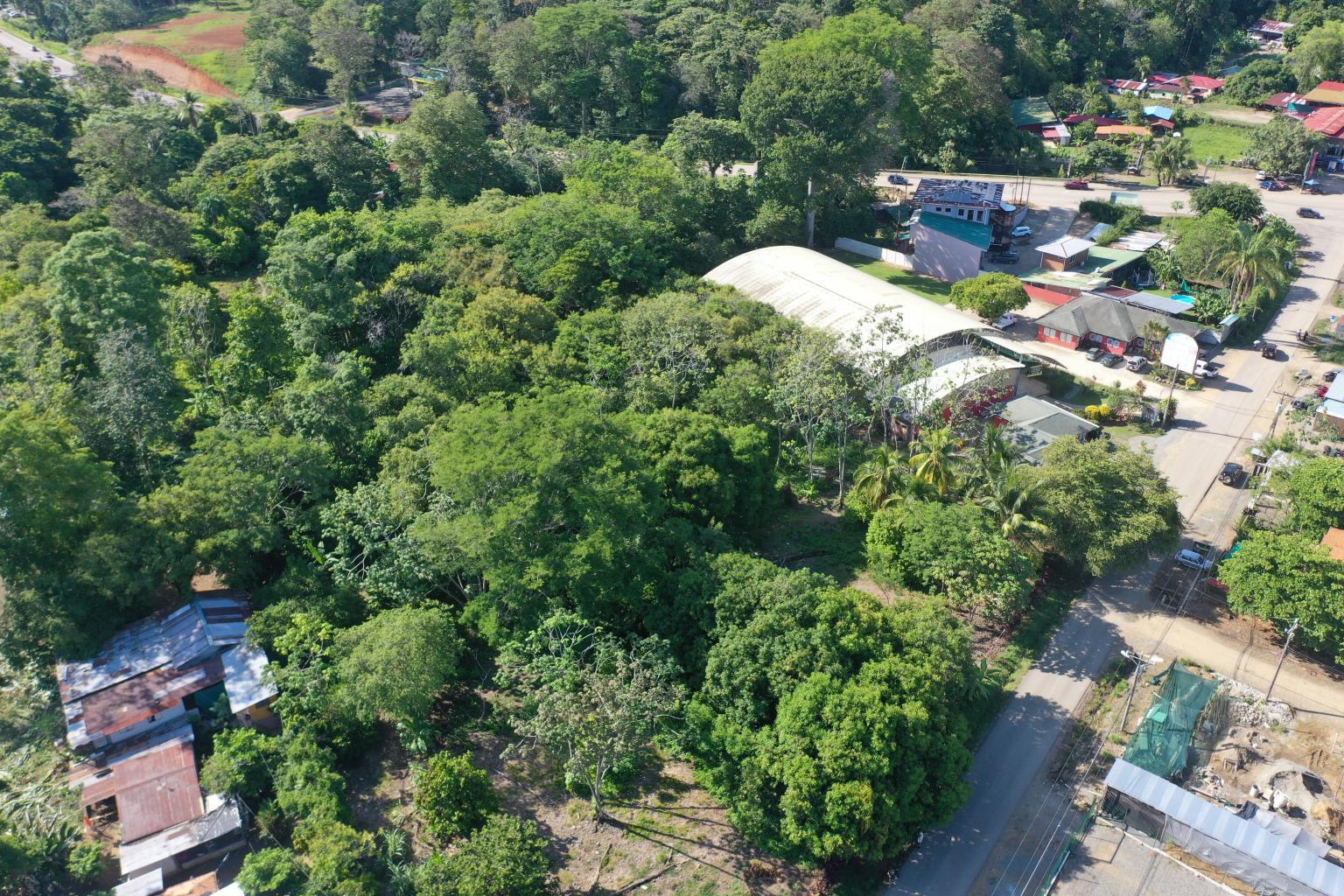 Commercial Lot with Road Frontage in Uvita property photo 3
