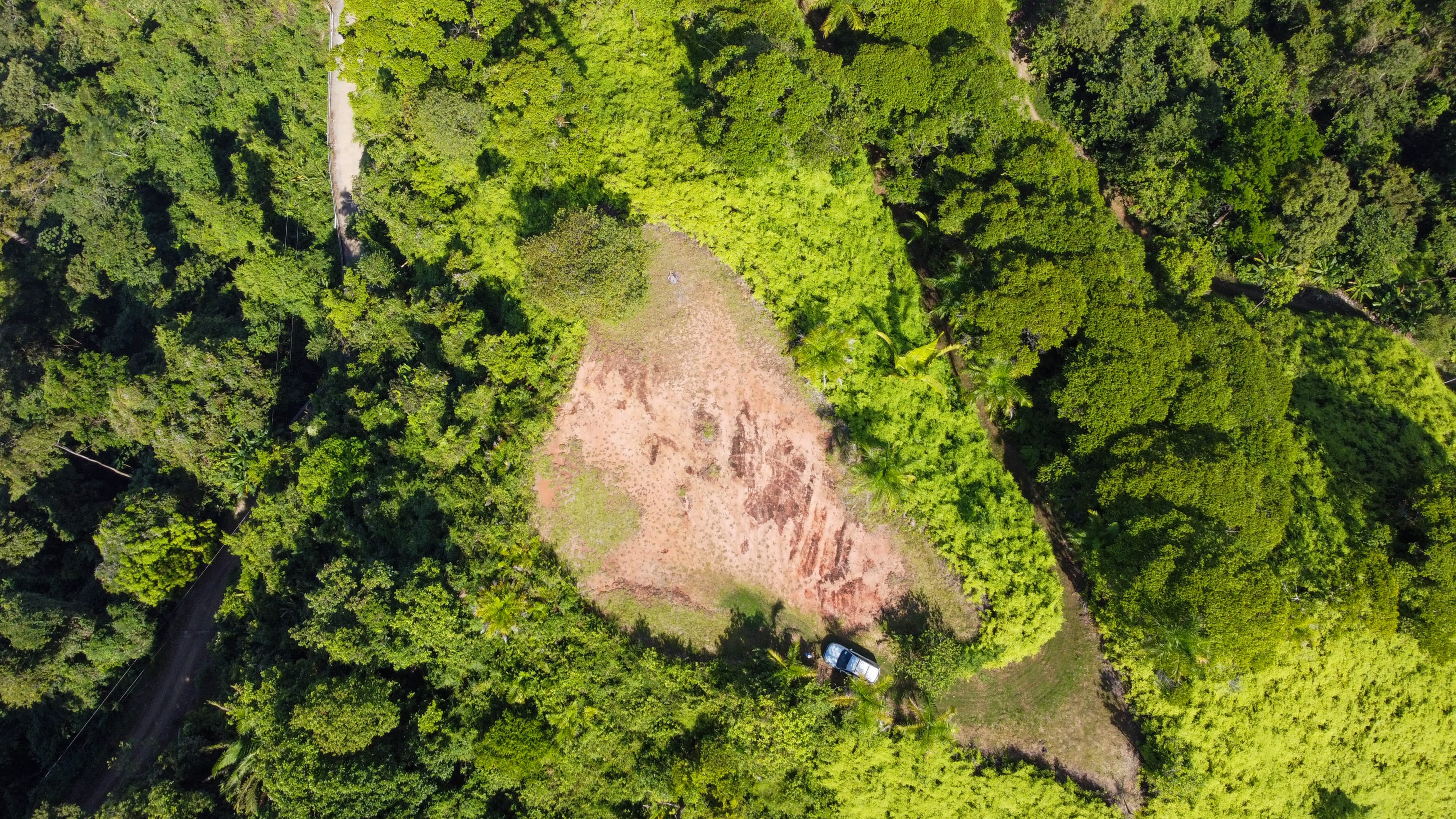 4-Acre Ocean View Land (Mango Manor Ridge) in Dominical property photo 5