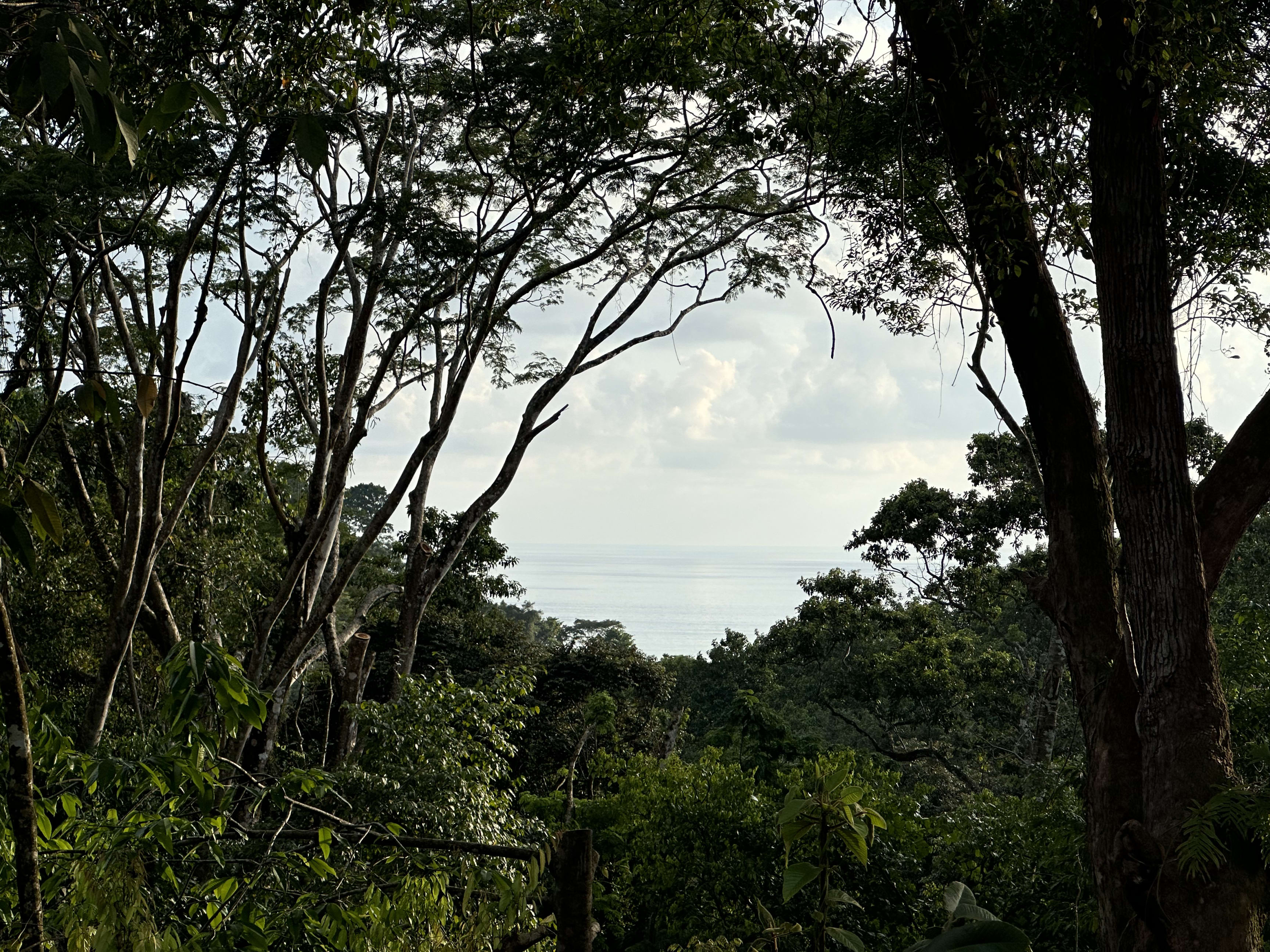 6-Acre Ocean View Land in Paradise Breezes, Hatillo property photo 2