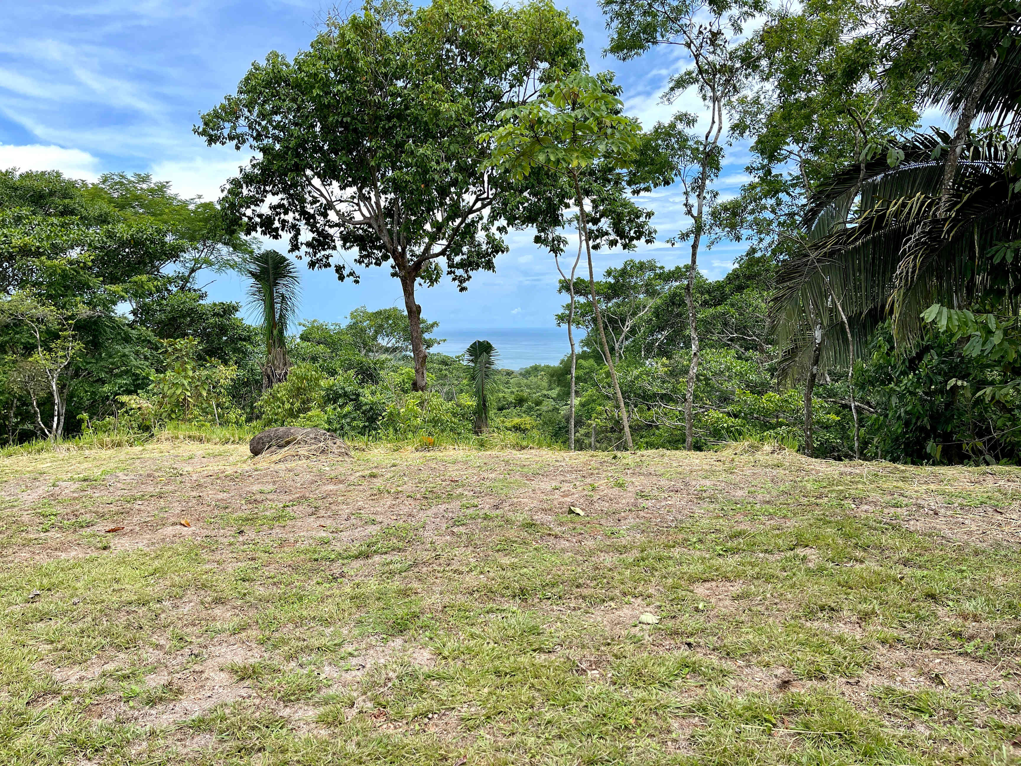 Ocean View Land in a Gated Community, Hatillo property photo 4