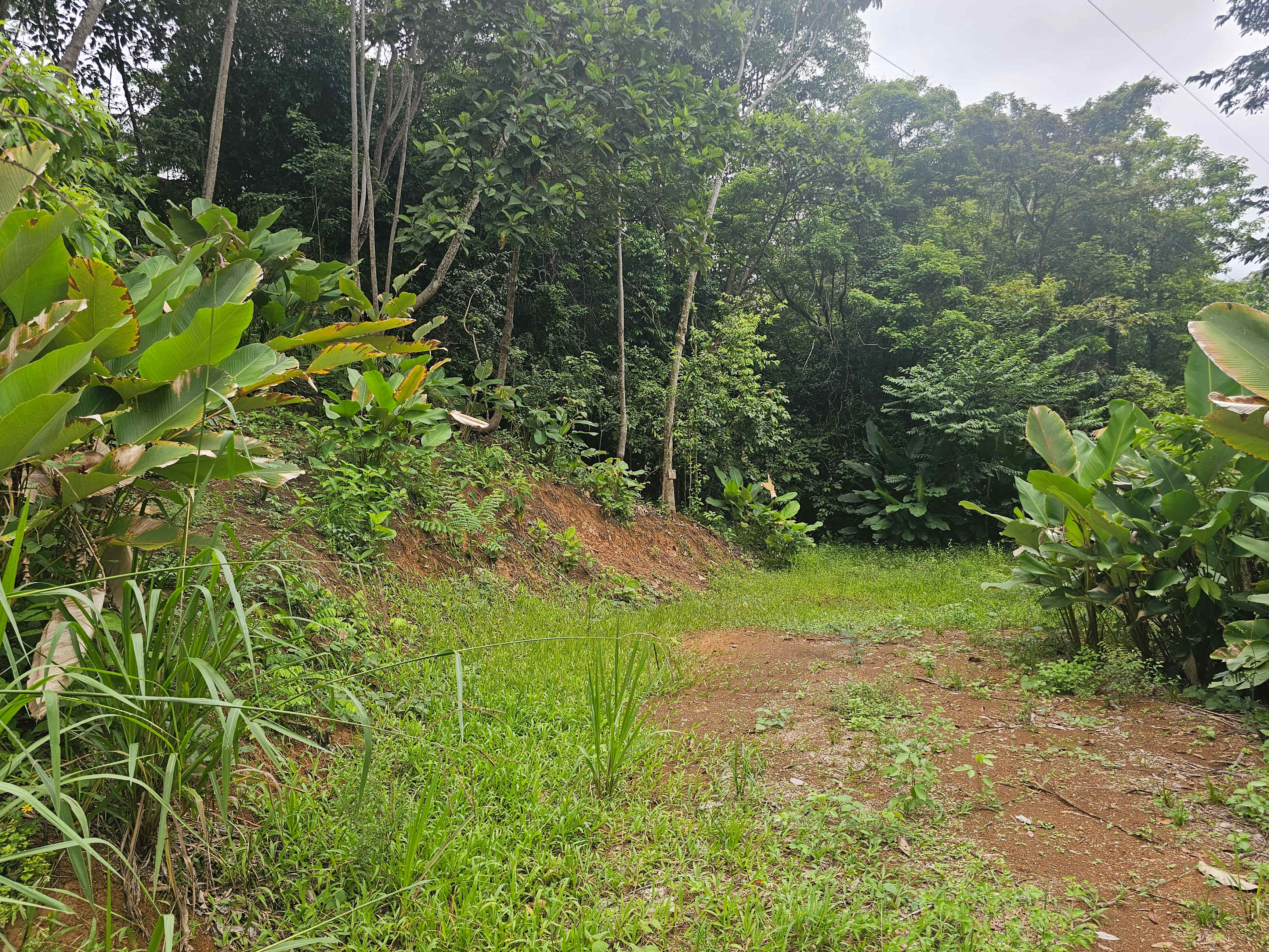 Building Lot Near Playa Hermosa, Uvita property photo 3
