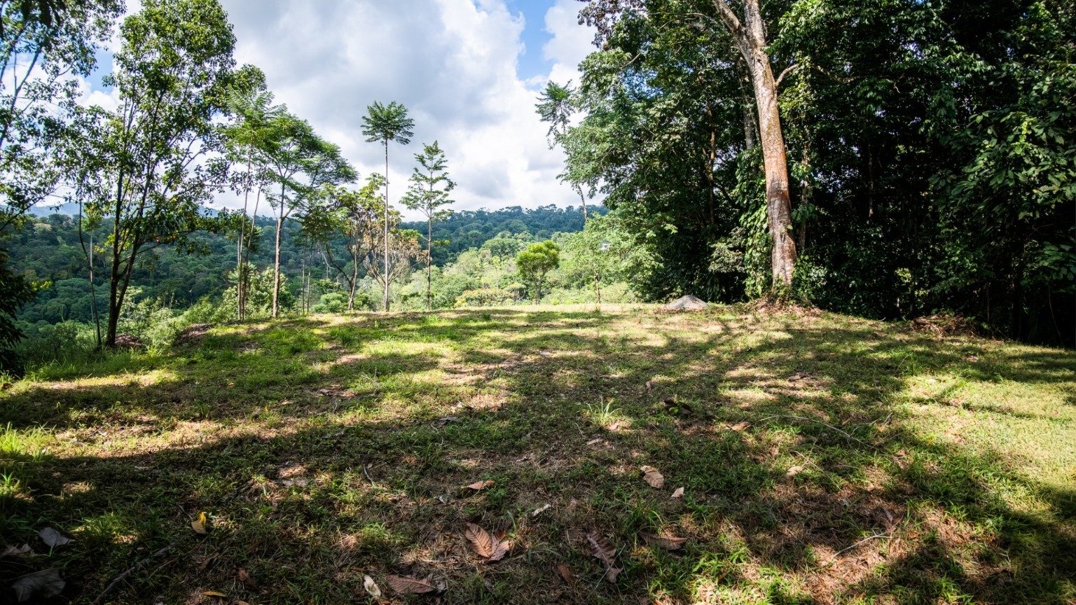 5-Acre Jungle Lot in Las Brisas, Ballena property photo 3