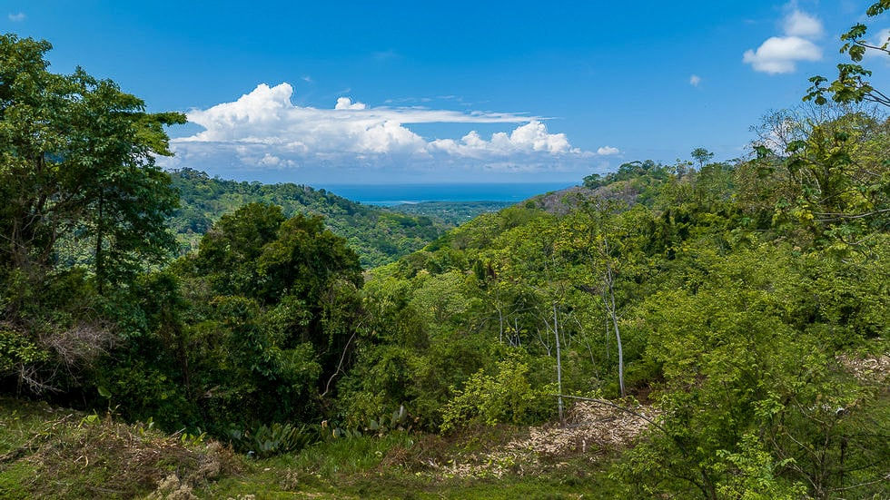 Thumbnail: 101-Acre Waterfall Land in Uvita | Whale Tail Views
