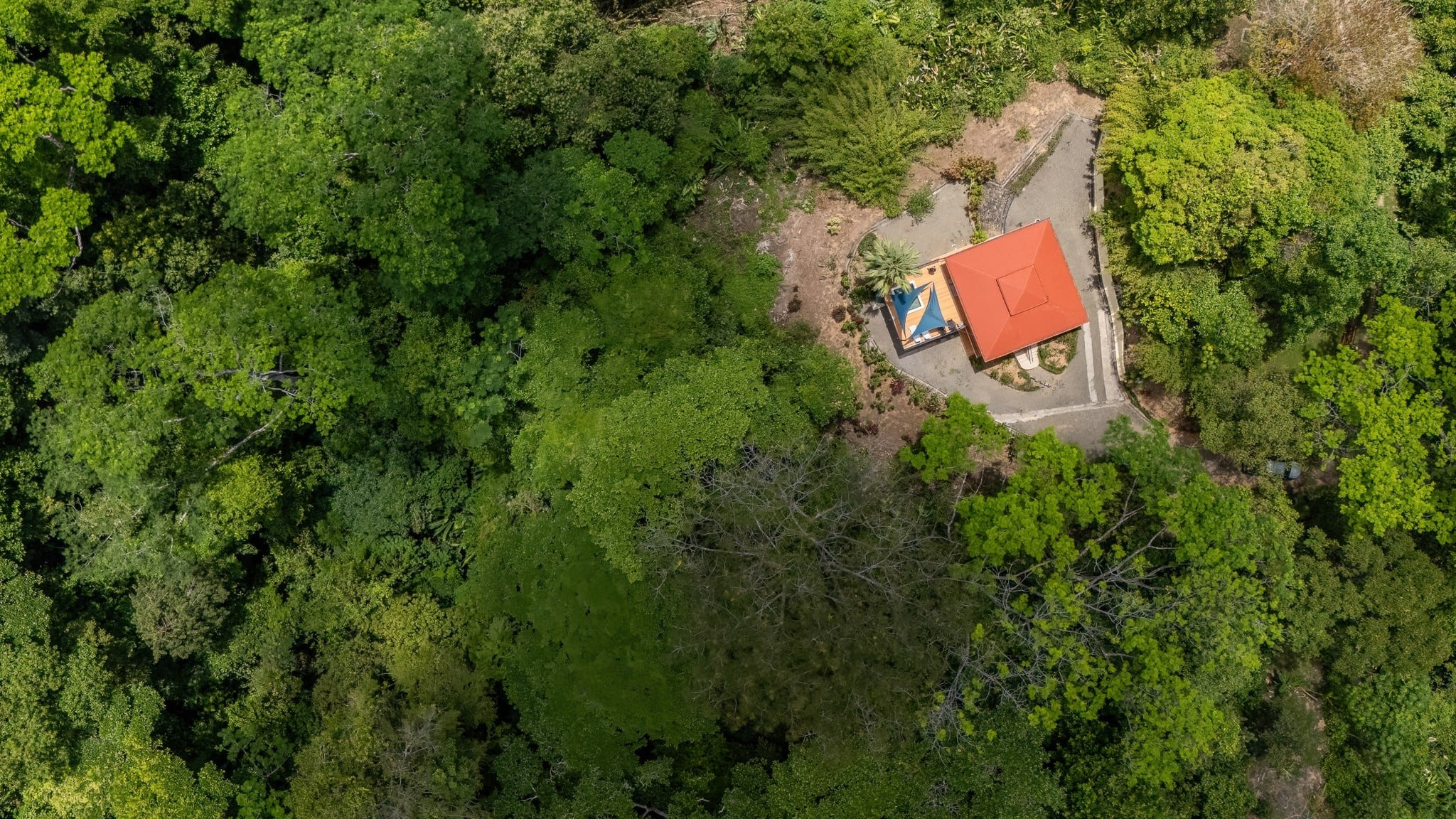 Ocean View Home in Finca Perla de Ballena property photo 3