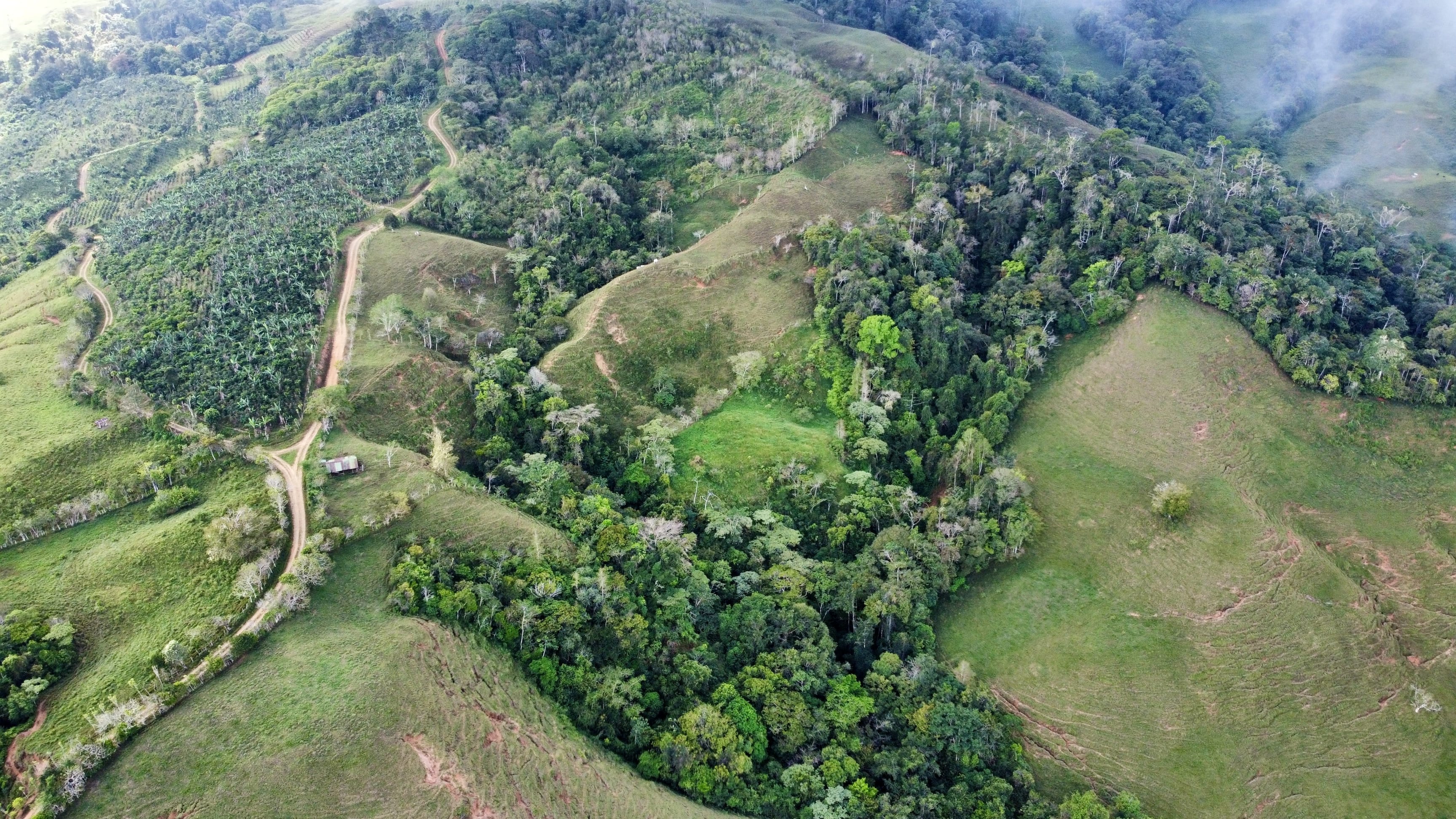 14-Acre Farm in Alto de Guadalupe property photo 4