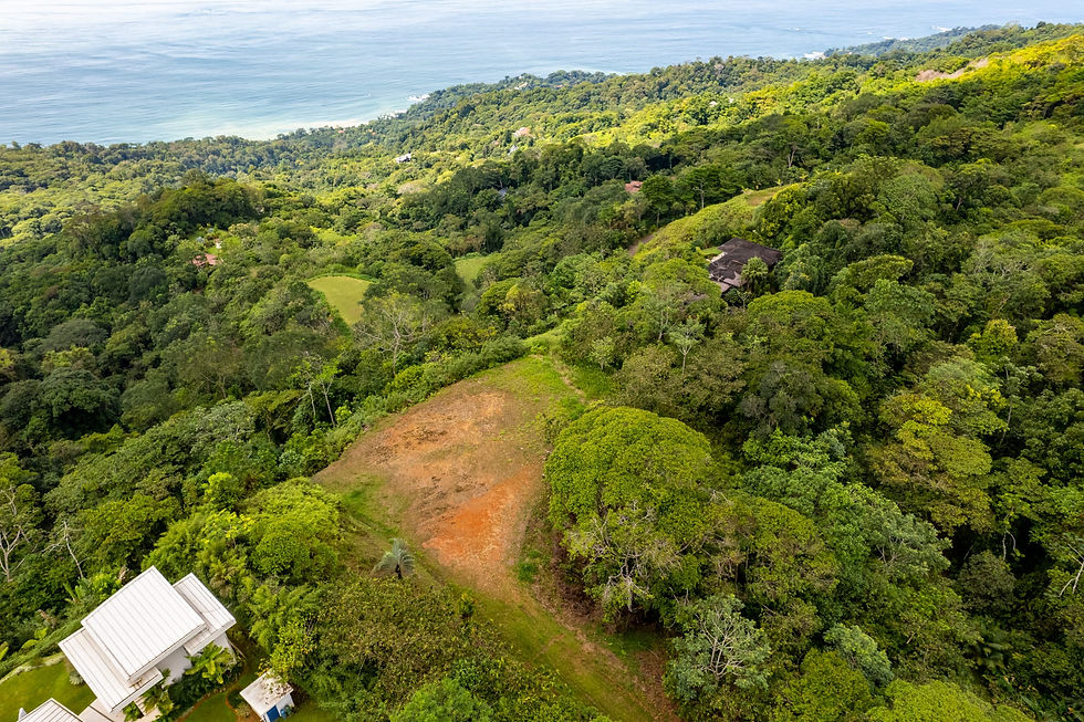 Thumbnail: Ocean View Lot in Escaleras | Whale's Tail Views, Gated Community