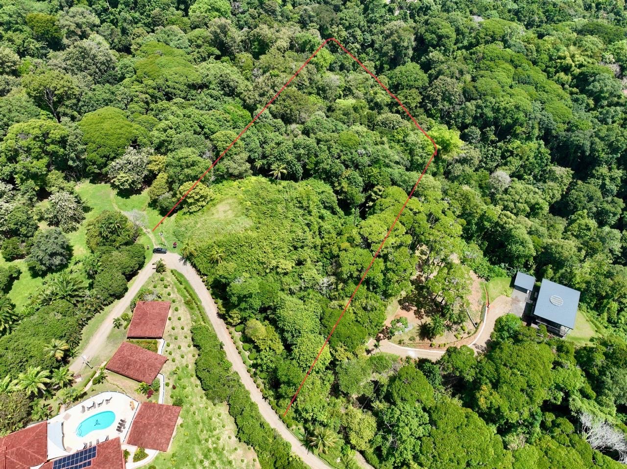 5.3-Acre Ocean View Land in San Martin Norte, Dominical property photo 4