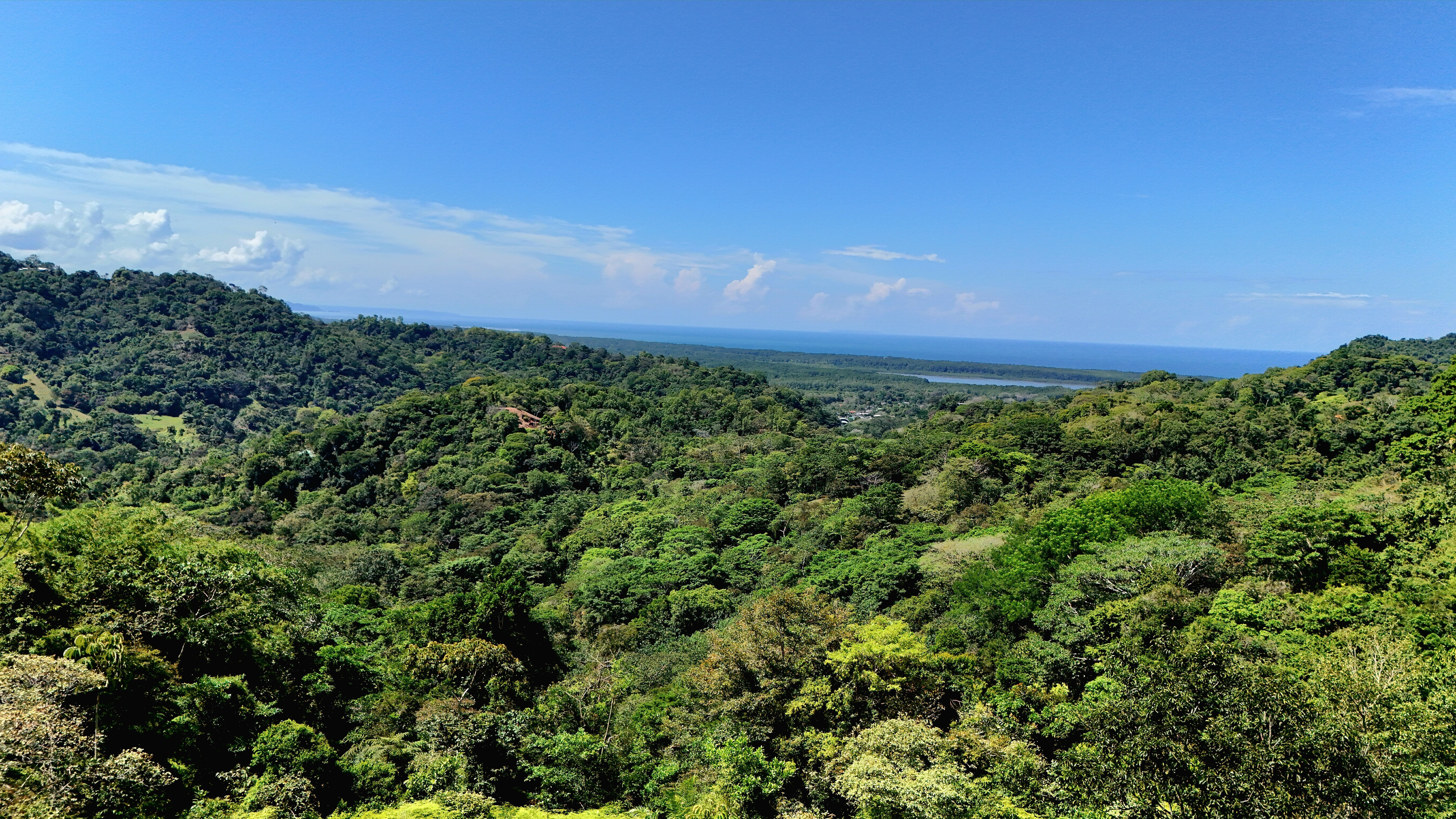Ocean View Land with River and Waterfall Access in Tres Rios de Osa property photo 4