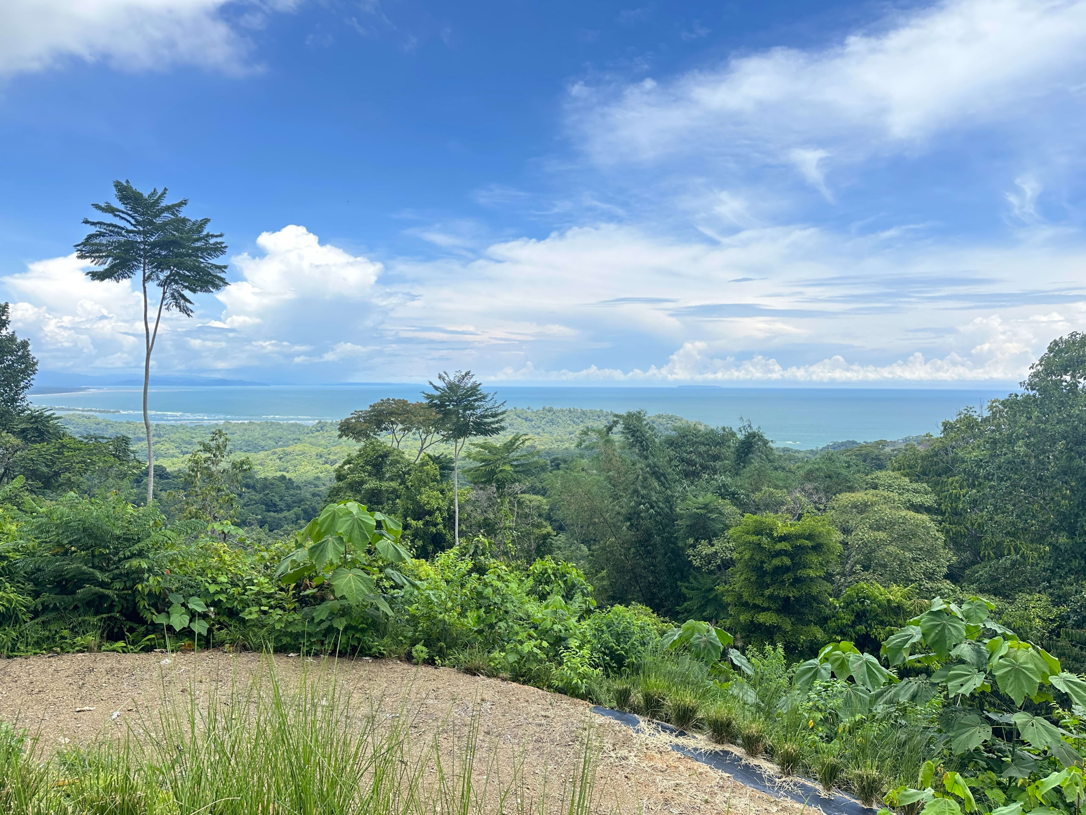 11.24-Acre Development Land in Cinco Ventanas, Ojochal property photo 4
