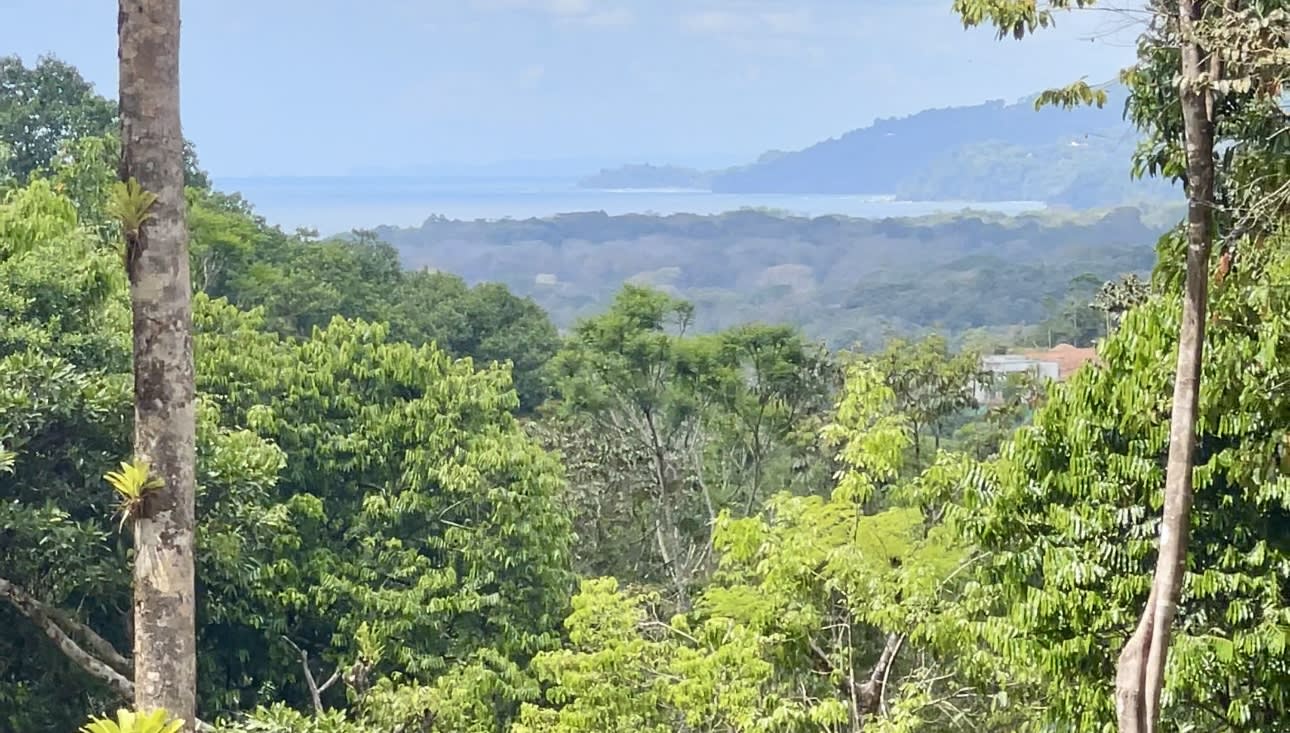 Ocean View Land (Lot 33) in Dulce Gated Community, Uvita property photo 4