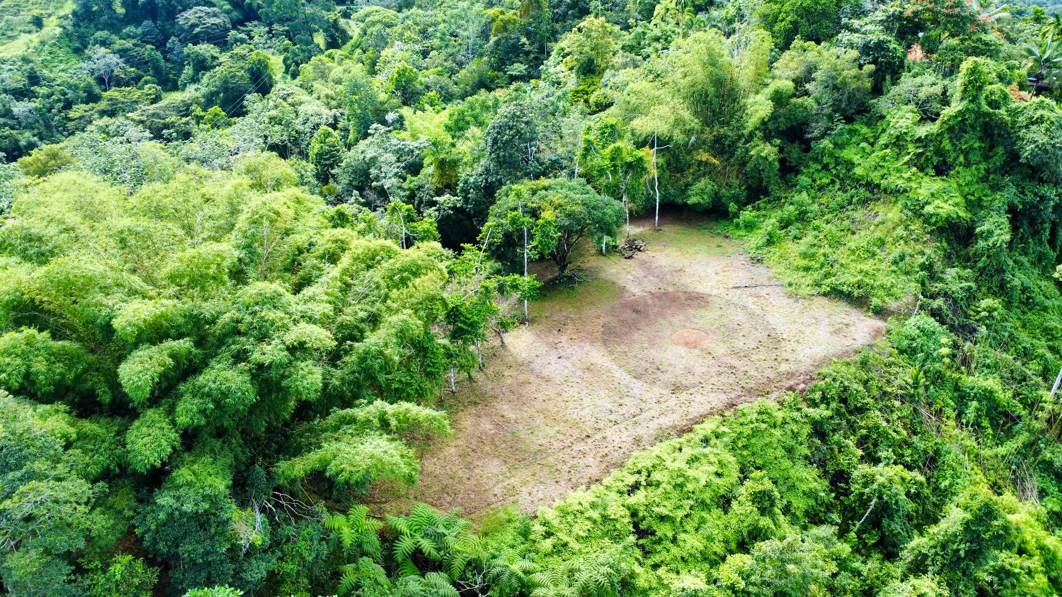 1.5-Acre View Lot in Platanillo in Dominical, Costa Rica