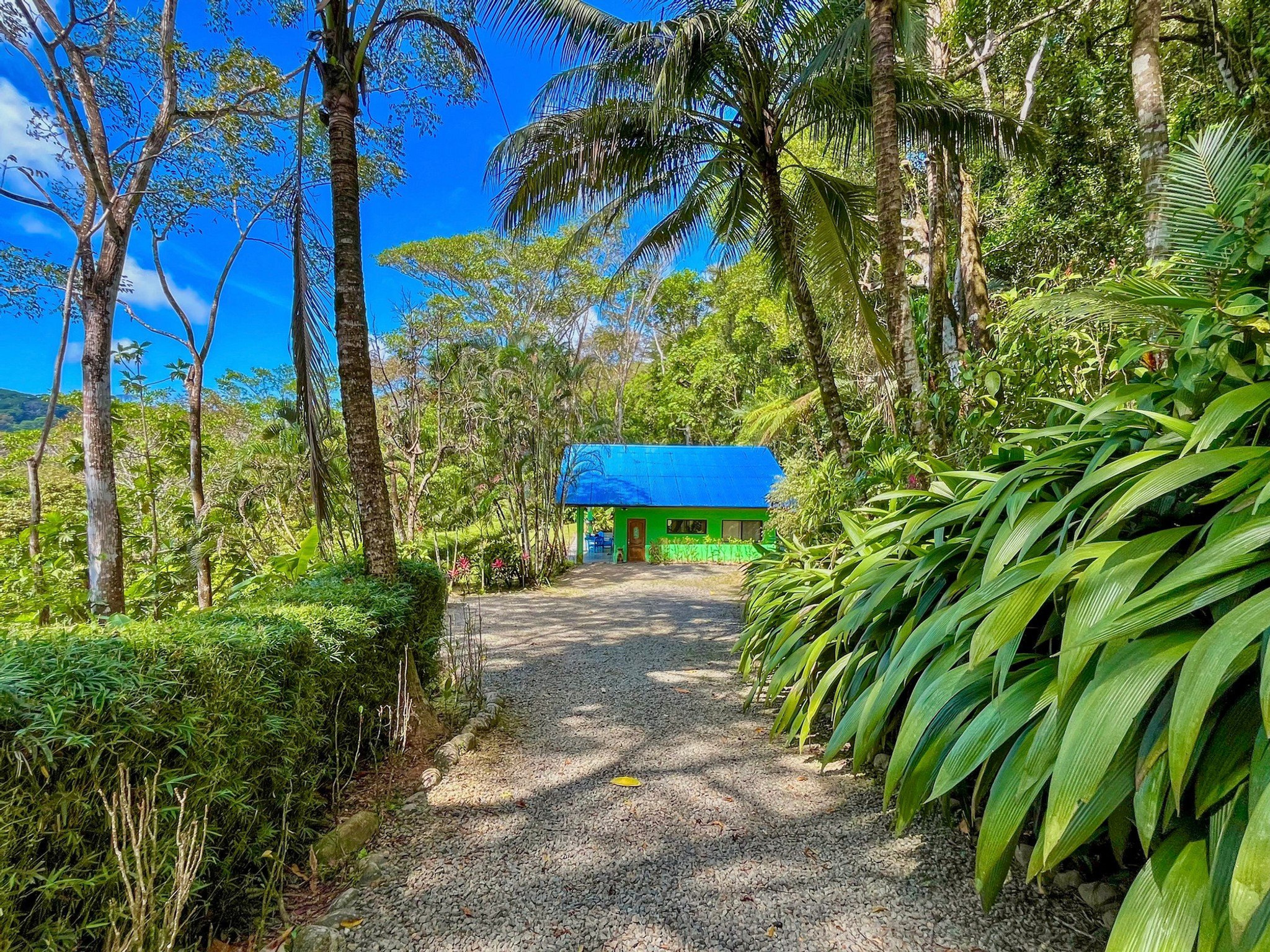 Jungle Home (The Funky Jungalow) in Lagunas de Baru in San Isidro, Costa Rica