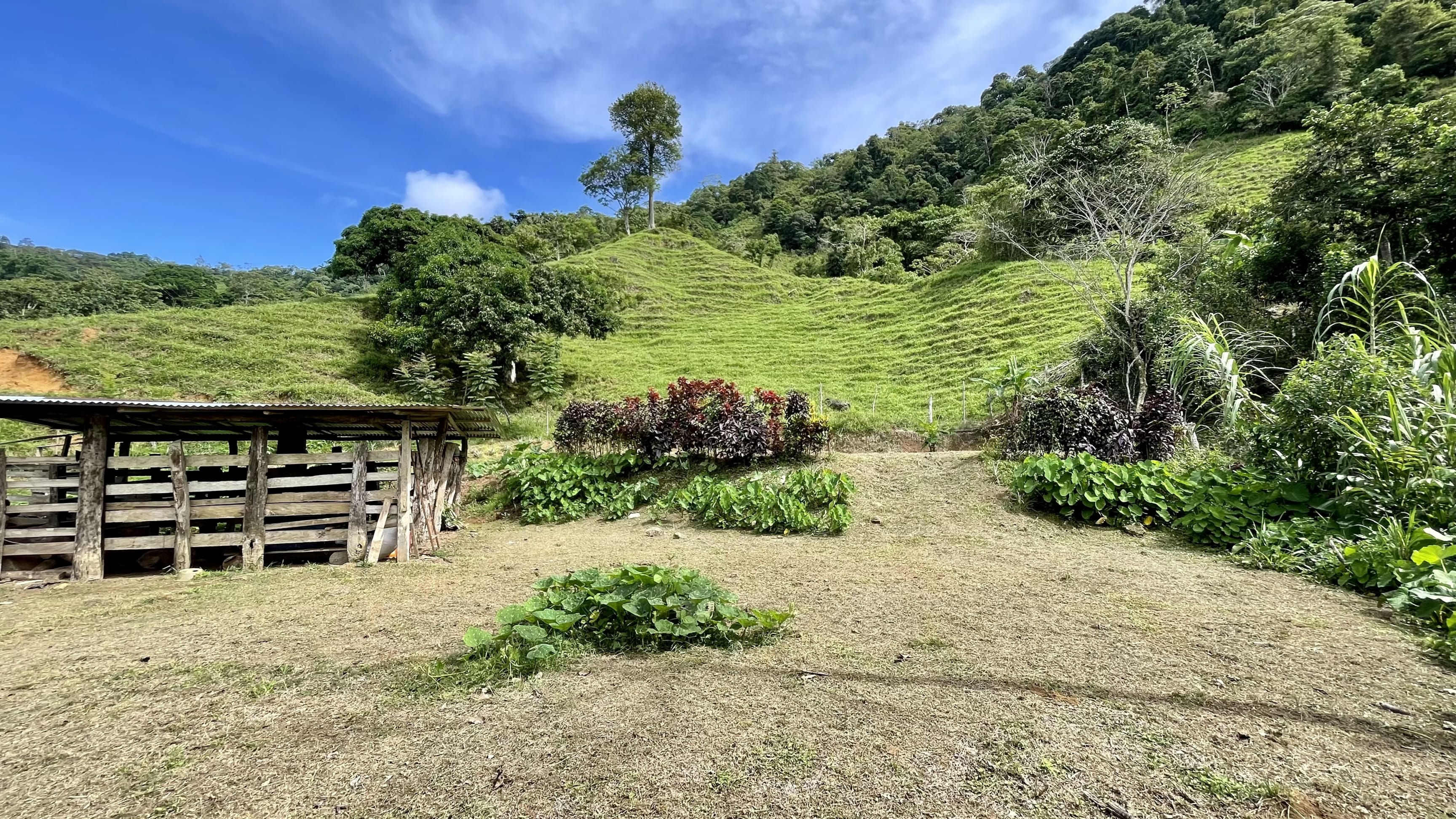 23-Acre Ocean View Farm in San Luis de Morete property photo 4