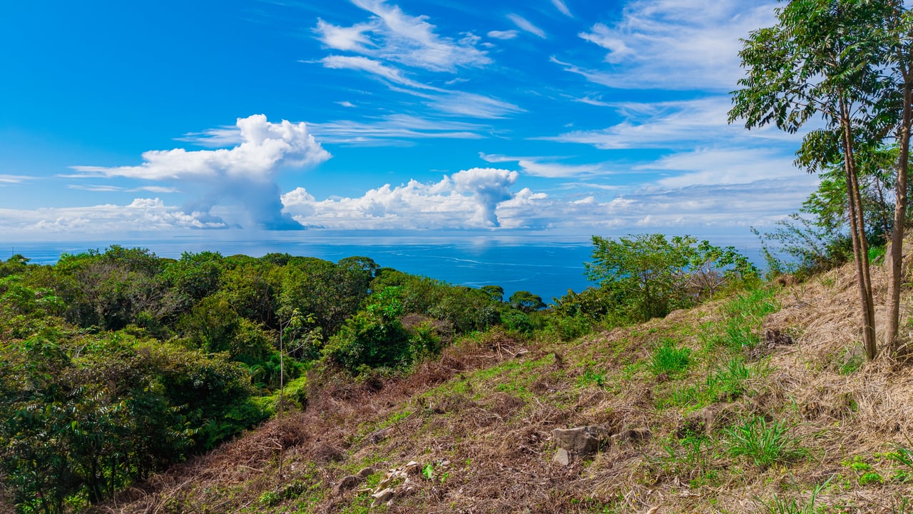 Ocean View Homesite in Escaleras, Dominical property photo 5