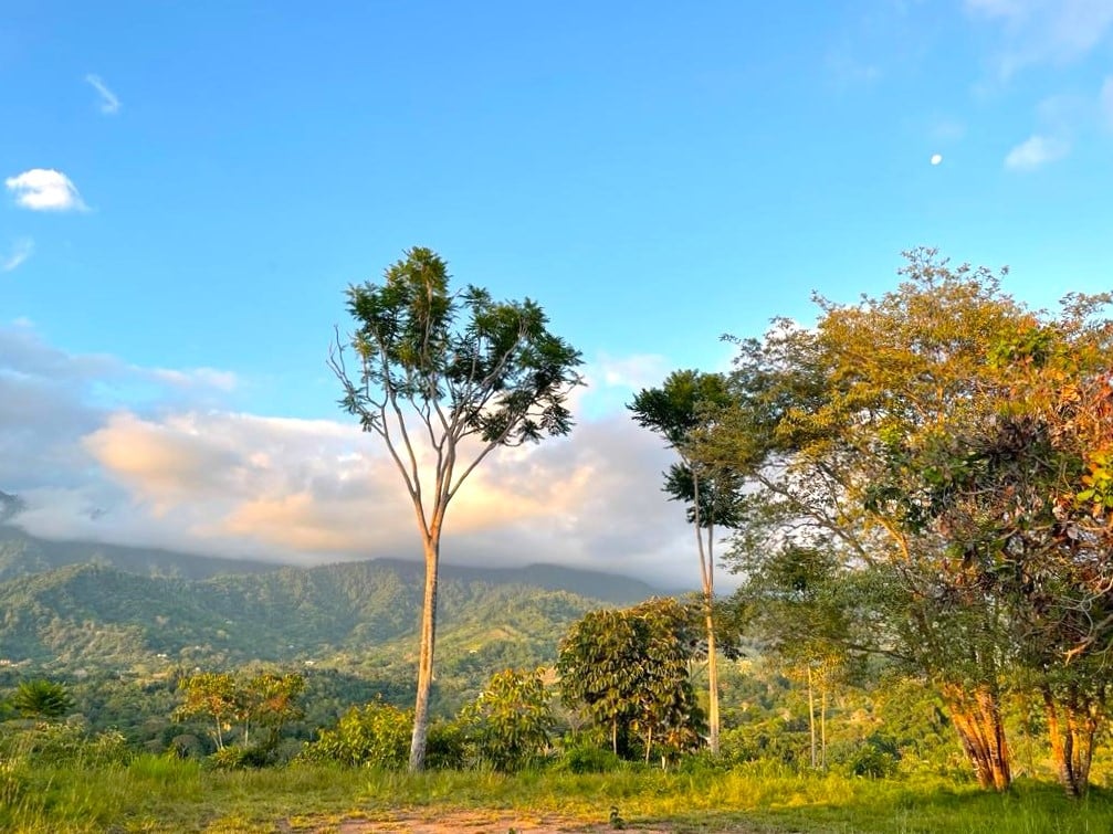 2-Acre Ocean View Lot in Finca Maranon, Ojochal in Ojochal, Costa Rica