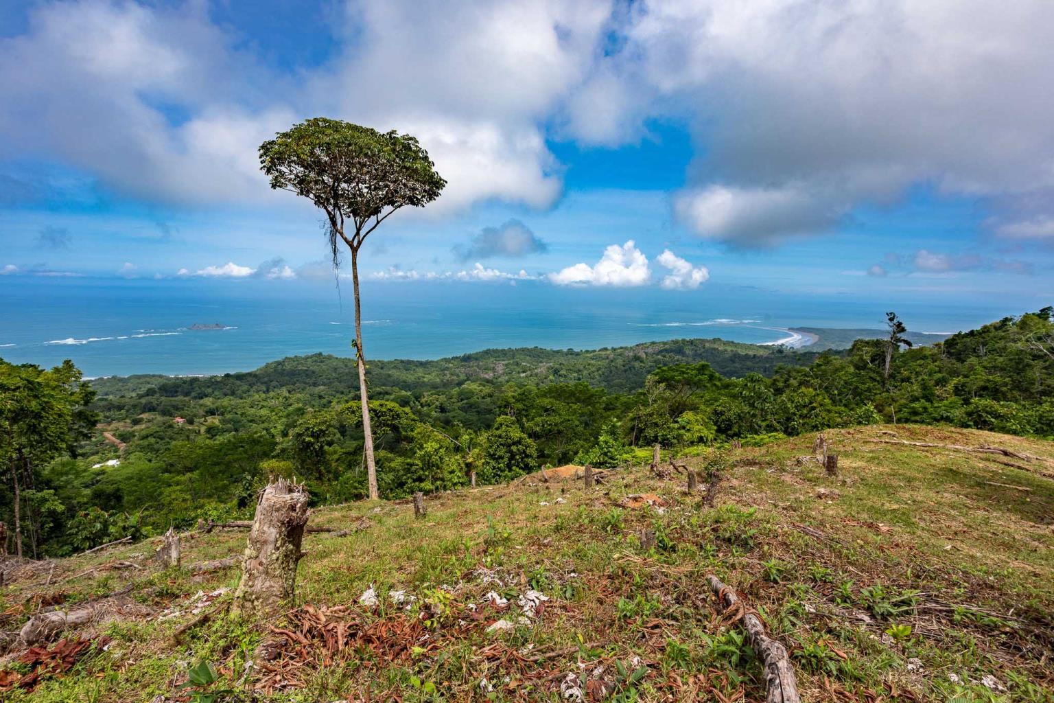 16-Acre Ocean View Land Above Uvita property photo 4