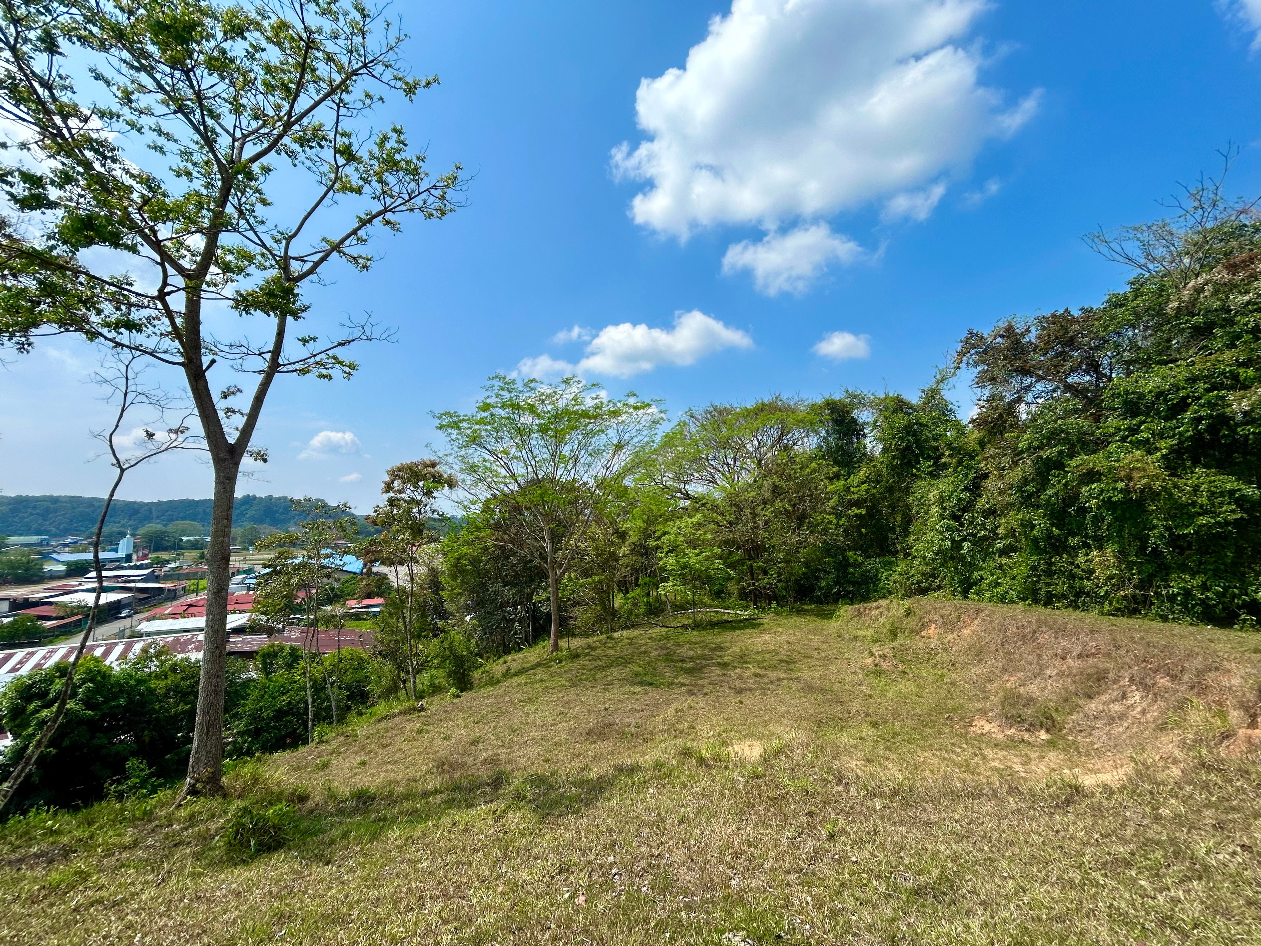 12-Acre Development Land in Barrio Alemania, Palmar Norte property photo 4