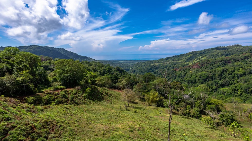 238-Acre Ocean View Farm in Portalon in Dominical, Costa Rica