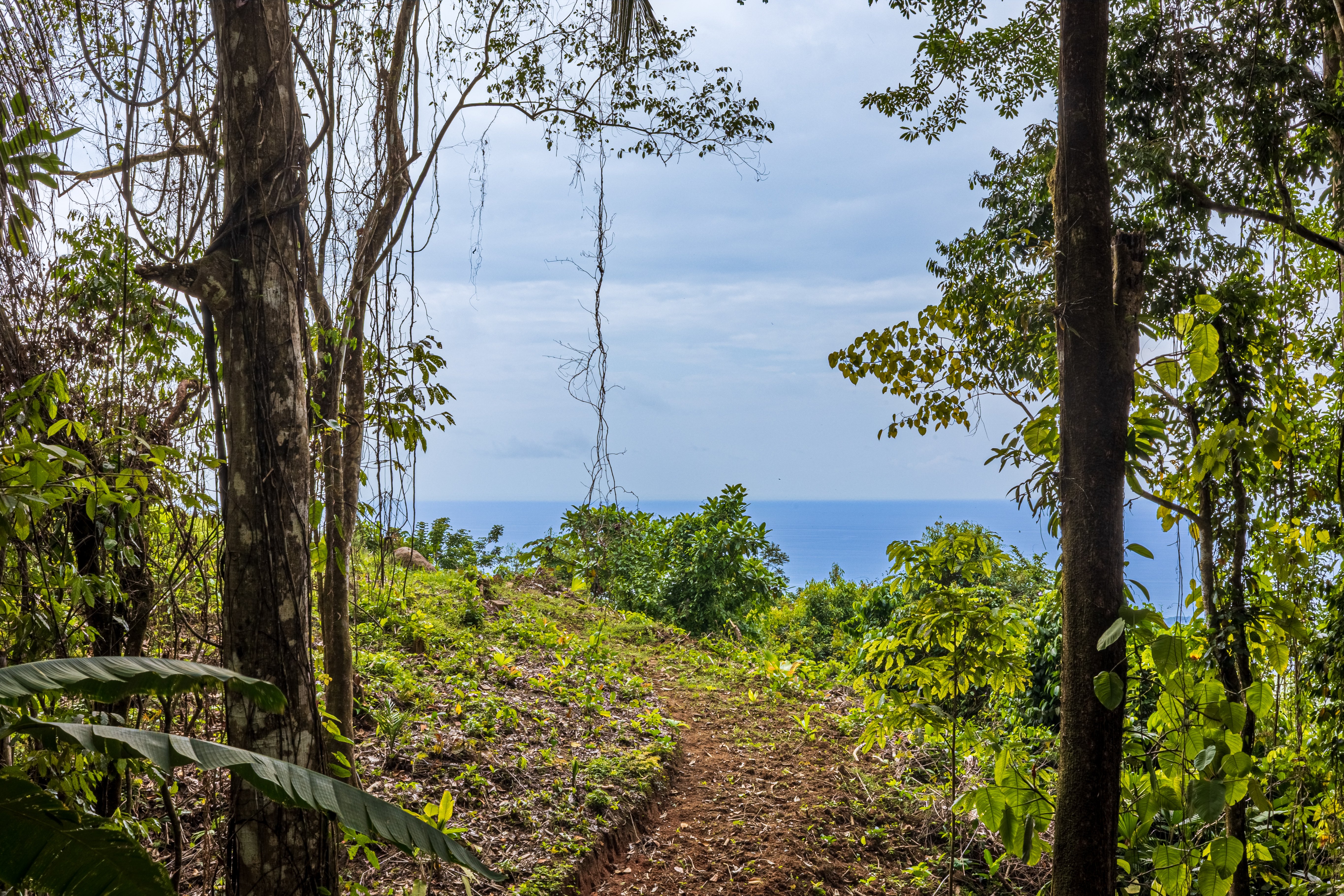 Ocean View Farm Near Playa Linda, Portalon property photo 4