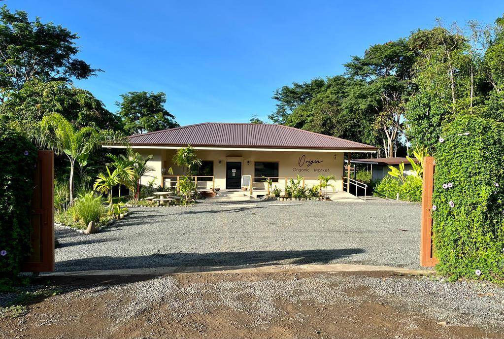 Commercial Plaza in Ojochal | Prime Investment Opportunity