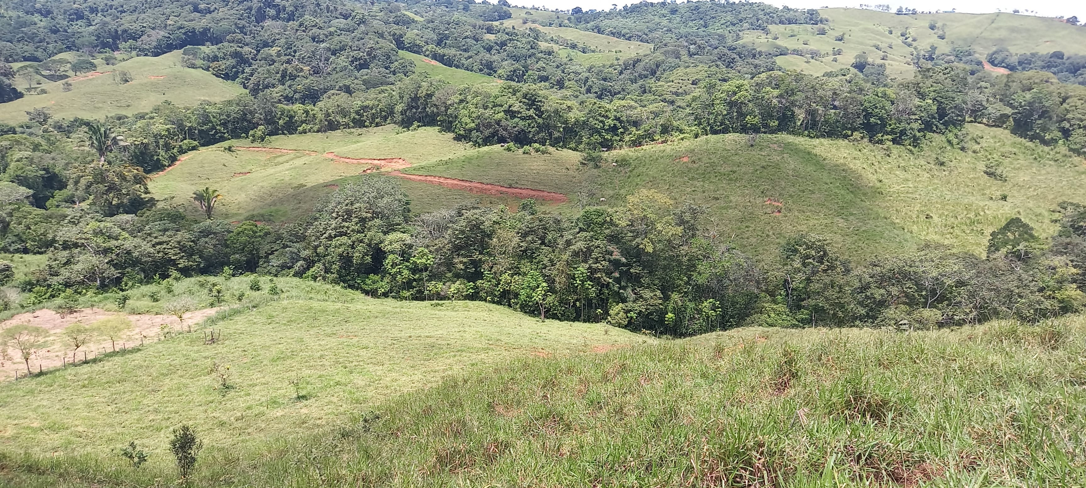 35-Acre Estate in Platanillo with Waterfall property photo 3