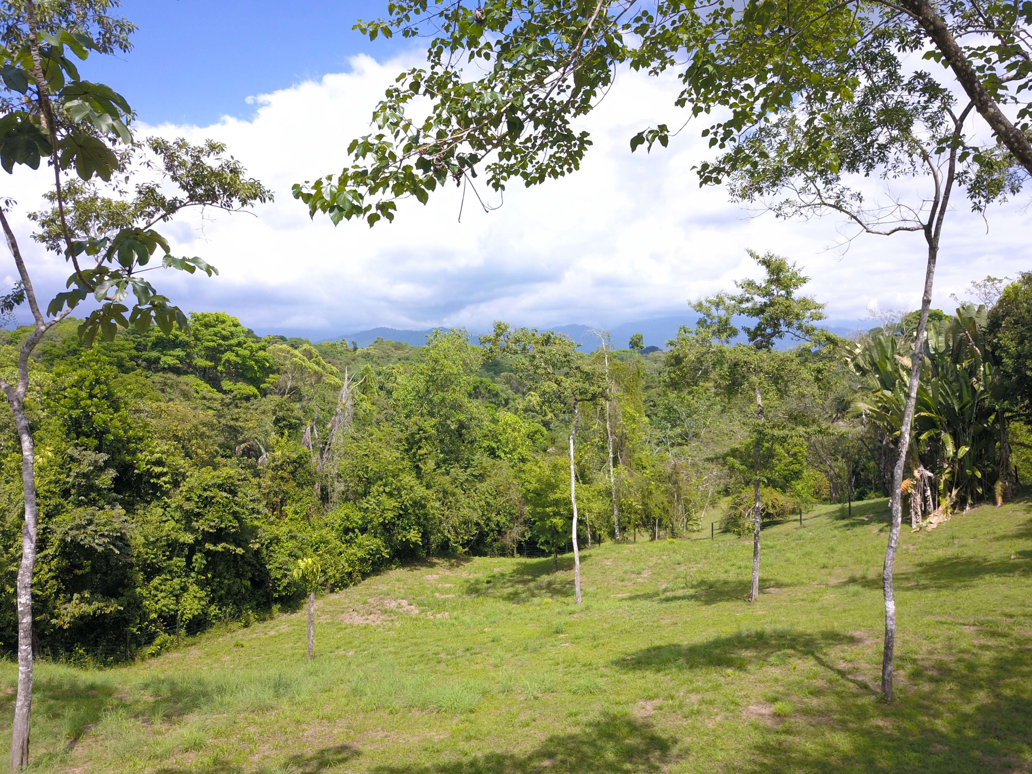 Development Land in Finca Gloriana, Quepos property photo 2