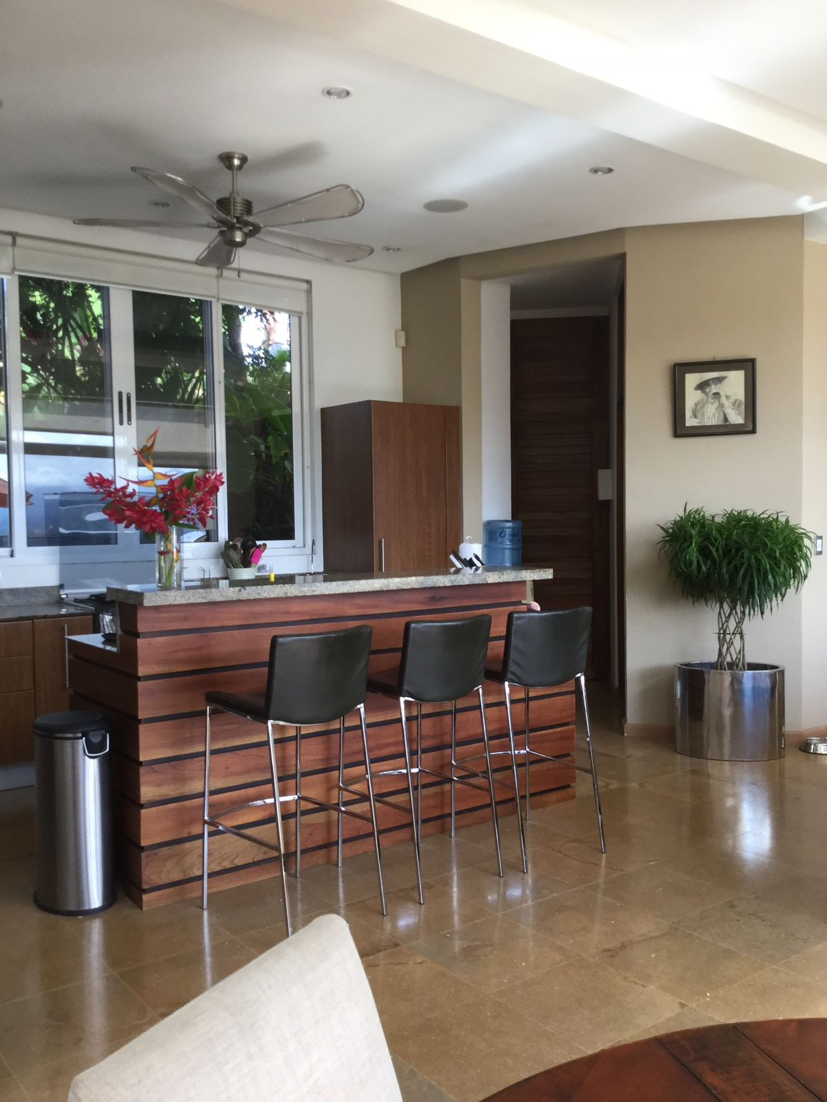 Private Estate (Casa Libert’Inn) in El Salto, Manuel Antonio property photo 4