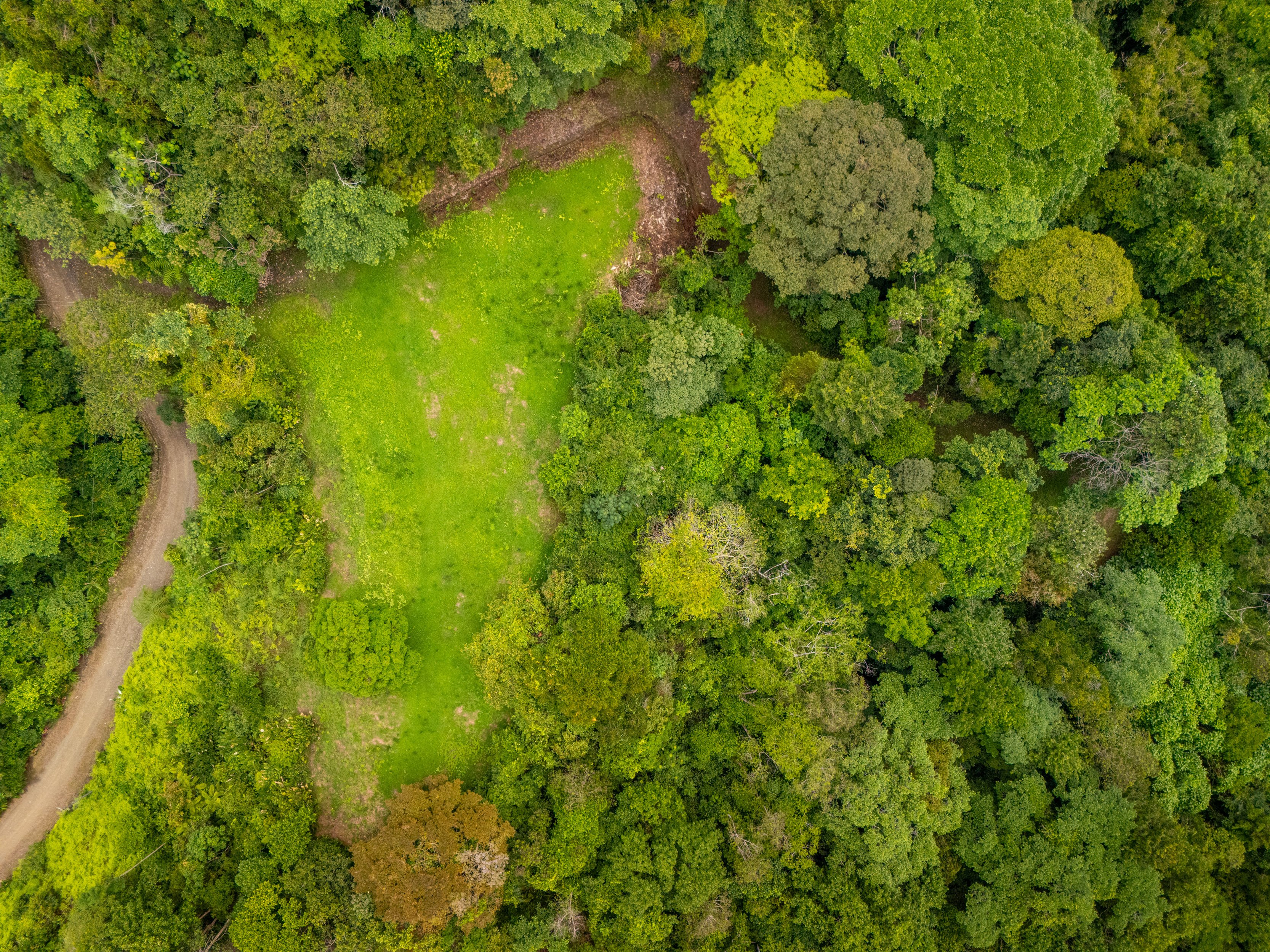 9-Acre Gated Land in Cascada Sandalo, Tres Rios property photo 4