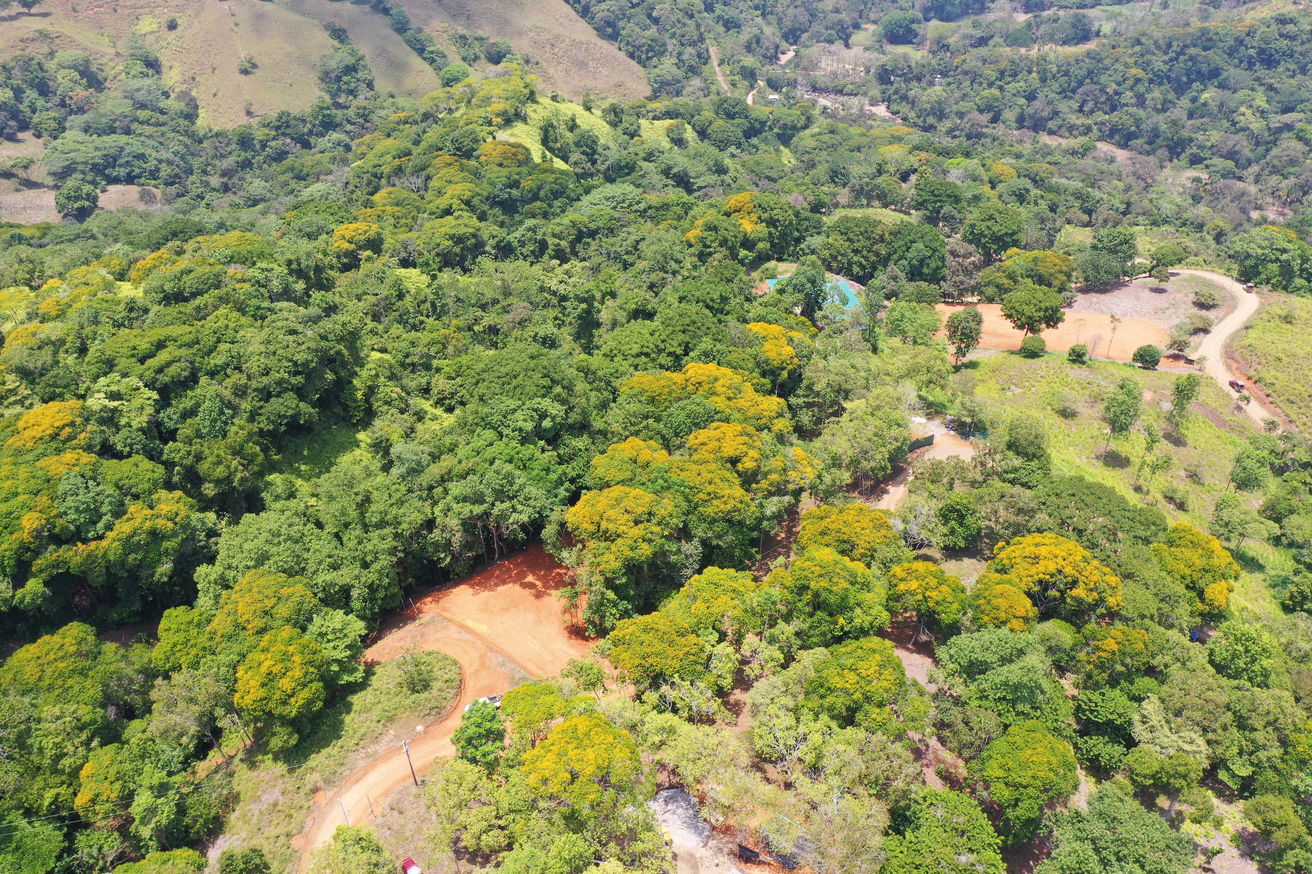 2.5-Acre Lot in a Gated Community, Dominical property photo 5