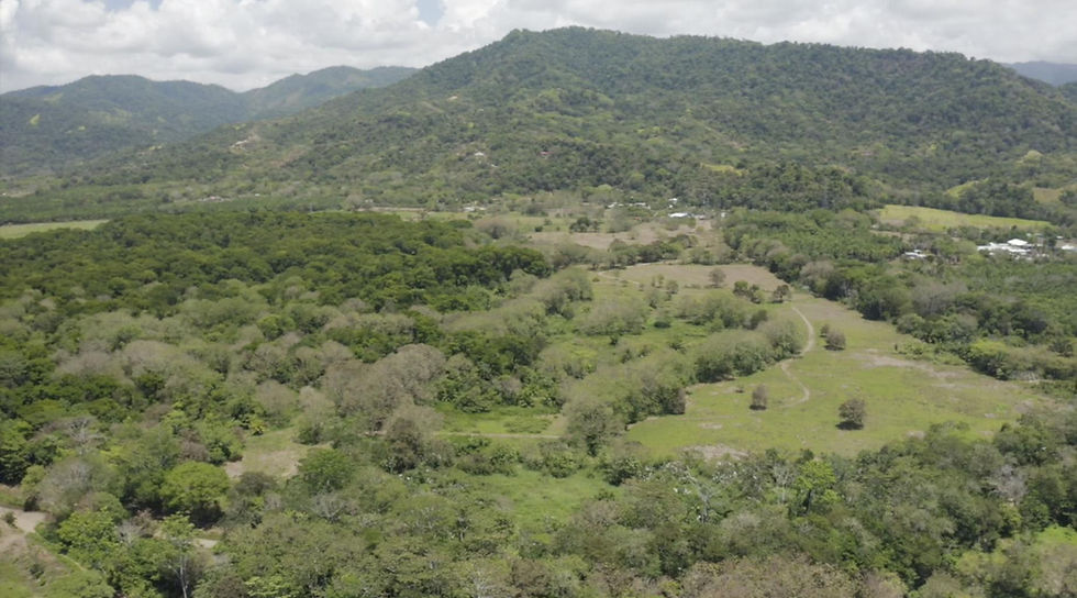 Thumbnail: 170-Acre Development Land in Matapalo | Beachside Opportunity