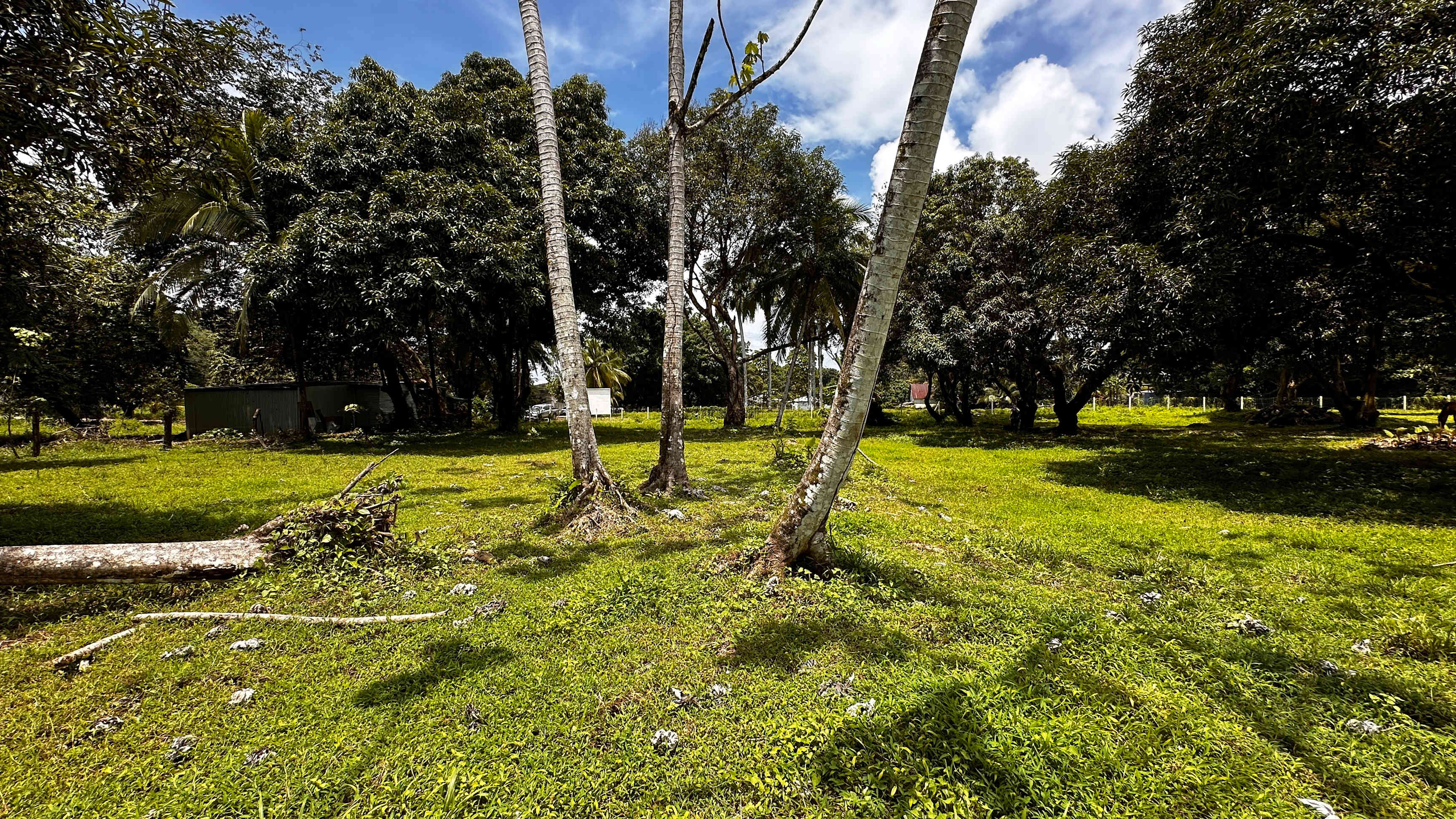 2.5-Acre Development Land in Bahia, Uvita property photo 4
