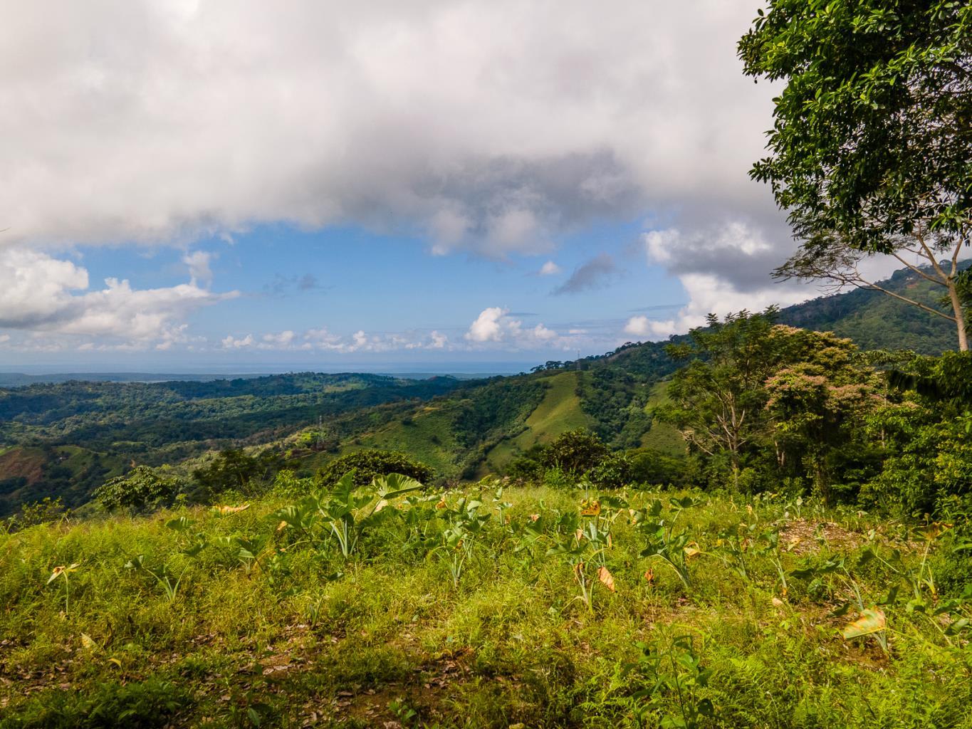 138-Acre Ocean View Land Near Cortez in Uvita, Costa Rica