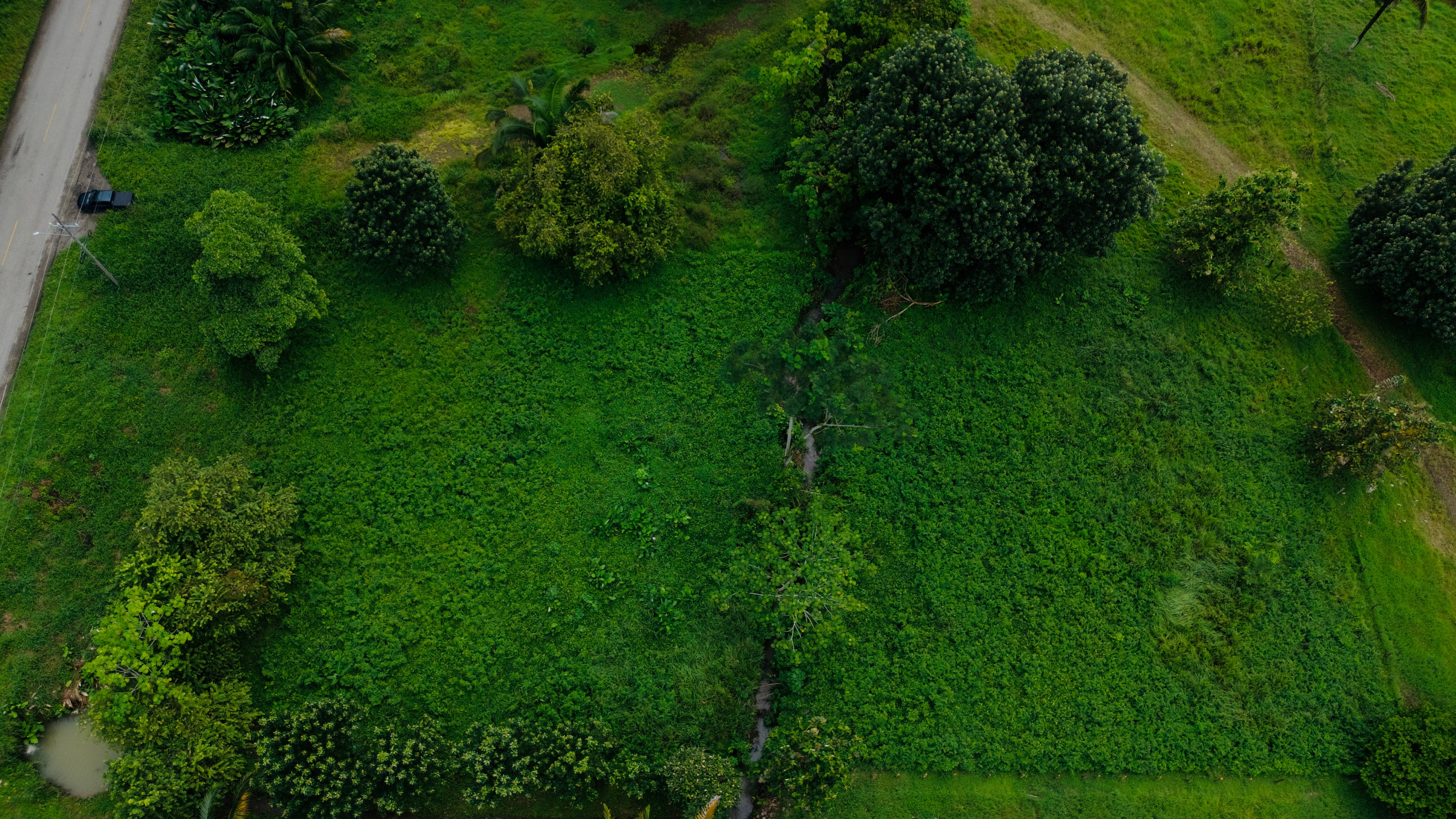 Commercial Land on Uvita’s Main Highway property photo 2