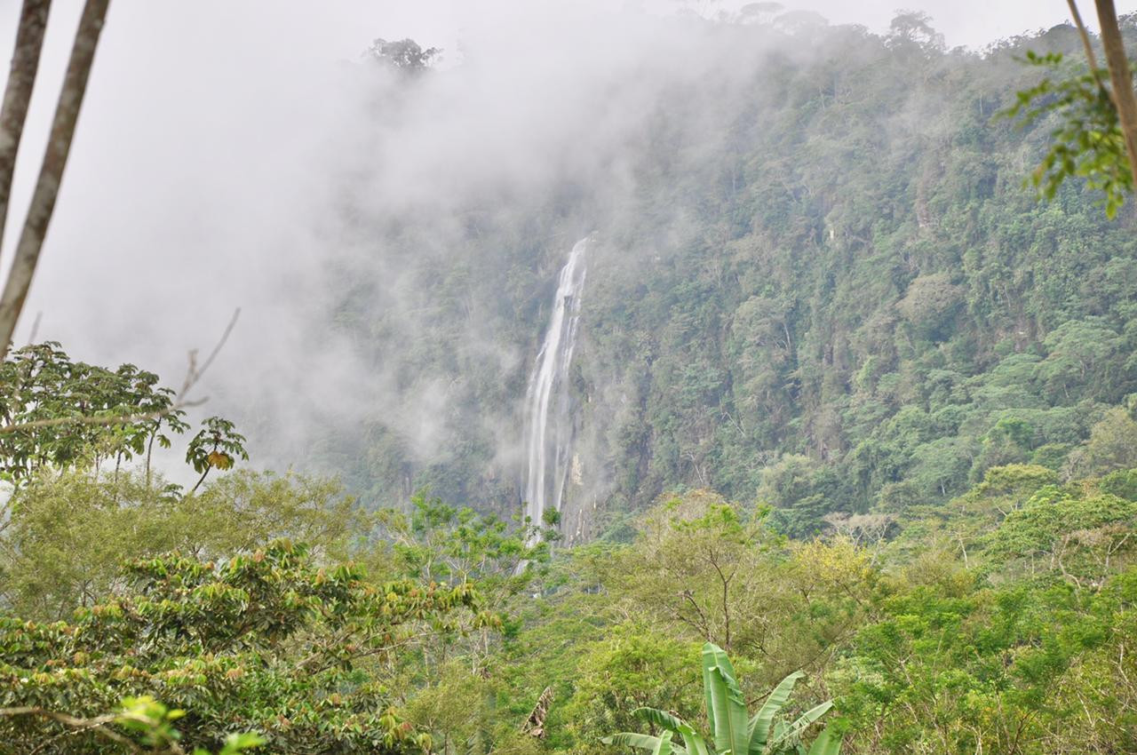 Waterfall View Farm Near Uvita in Dominical, Costa Rica