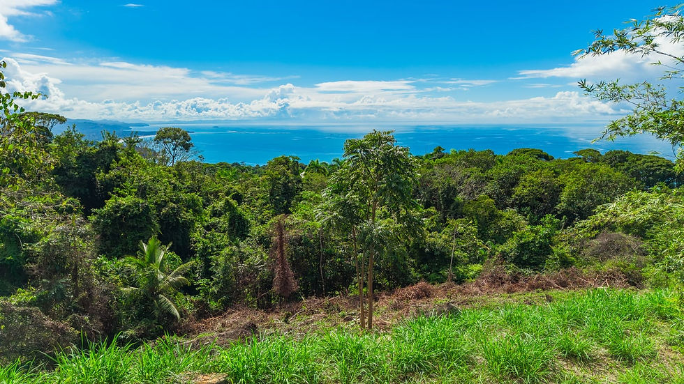 Thumbnail: Ocean View Homesite in Escaleras Dominical | 1 Acre Gated Community